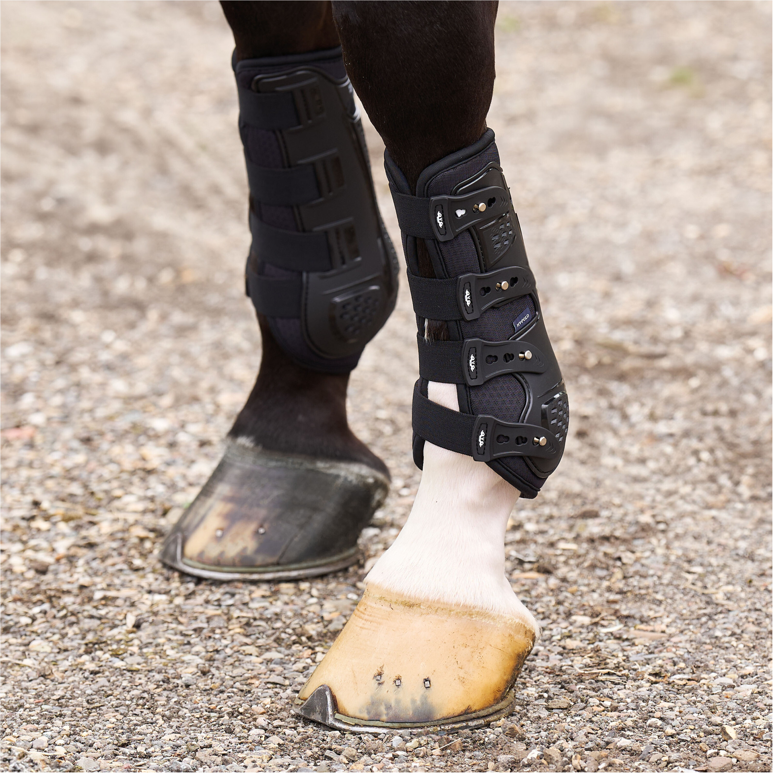 Dressurgamaschen HVPPro Movement schwarz Dressurgamaschen HVPPro Movement schwarz