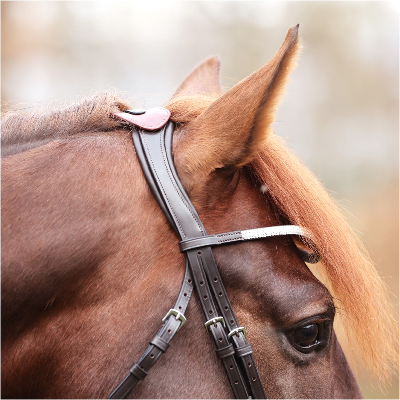 Genickstück offen mit Brücke MALOU braun