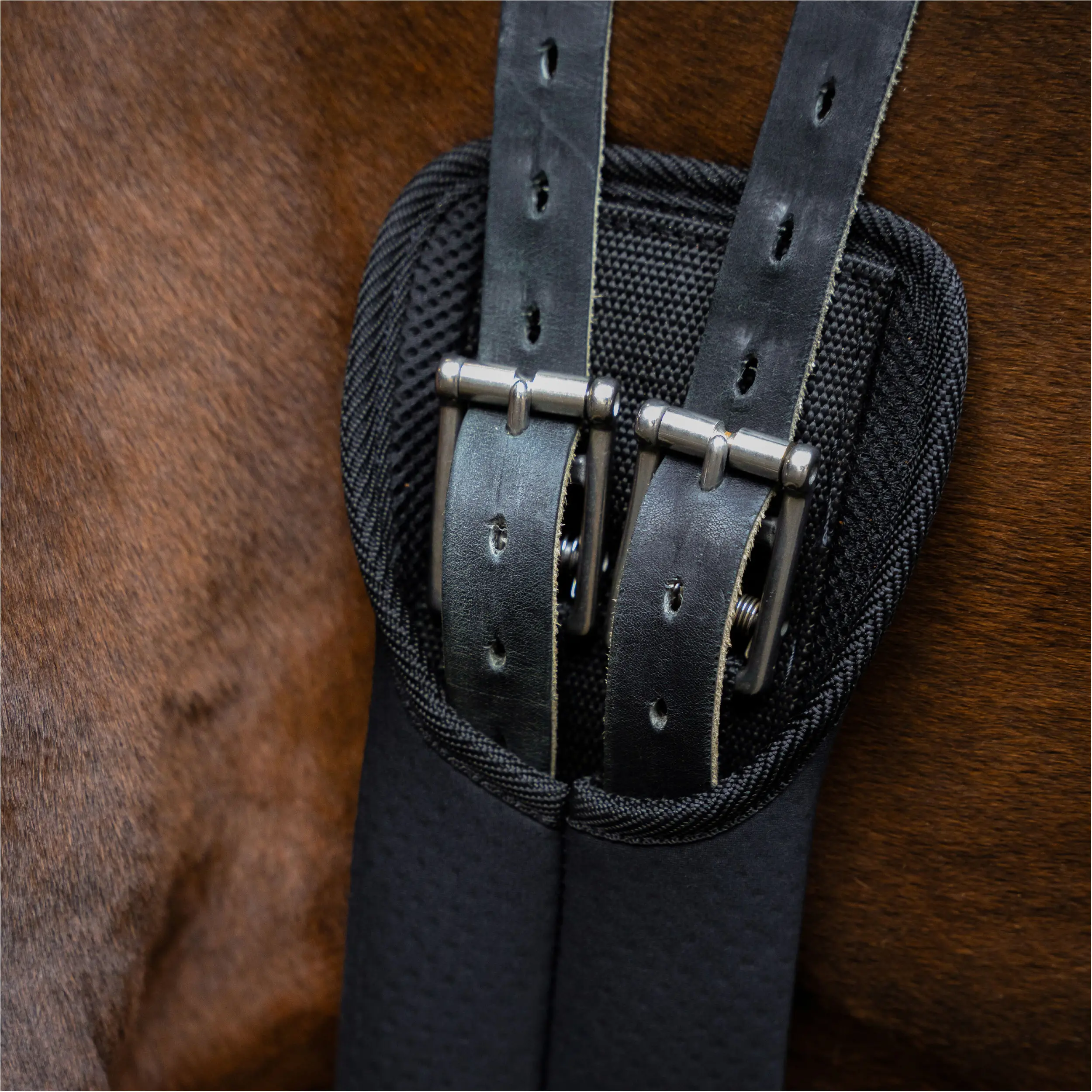 Dressurgurt IRH Softopren schwarz
