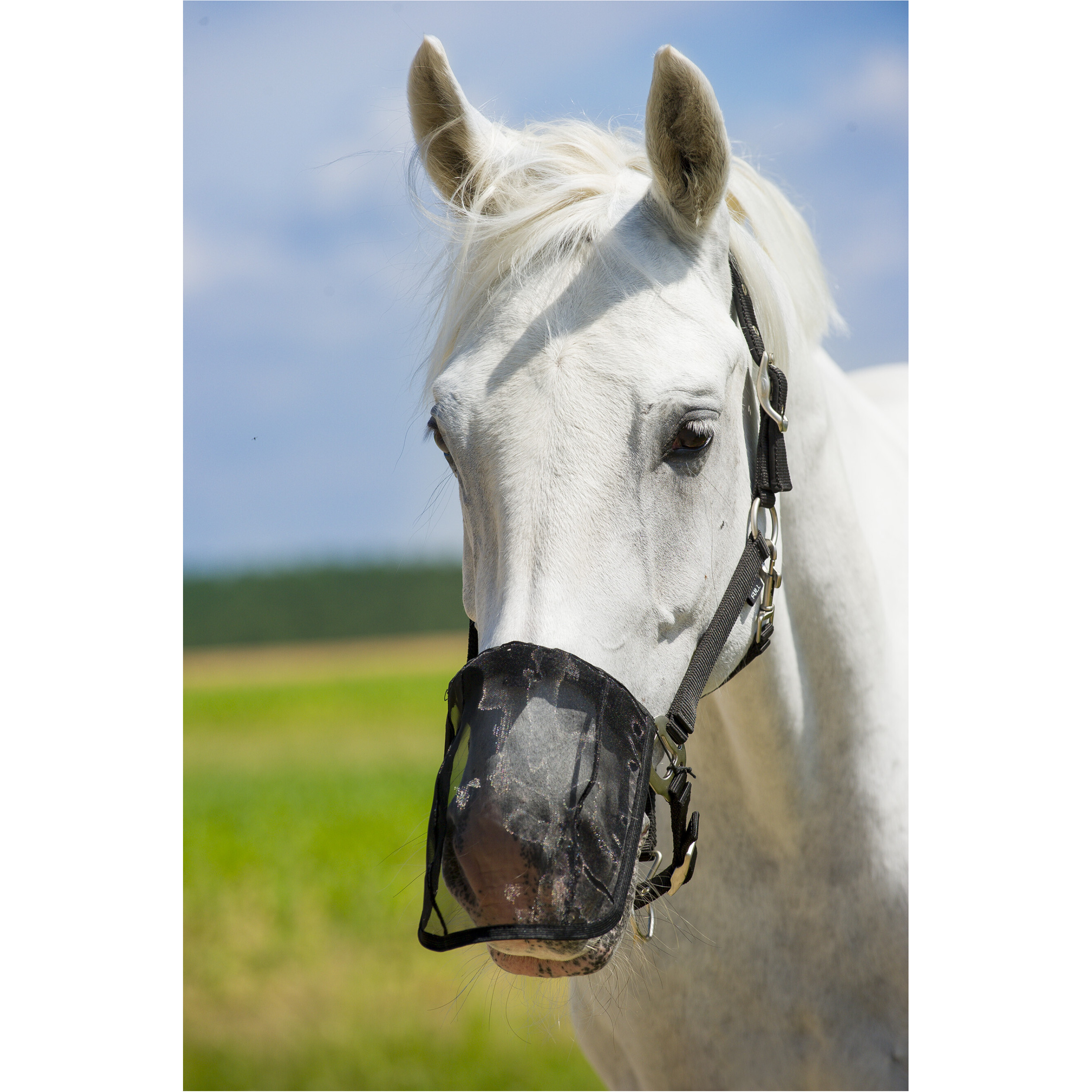 Anti-Fliegen-Nasenschutz schwarz