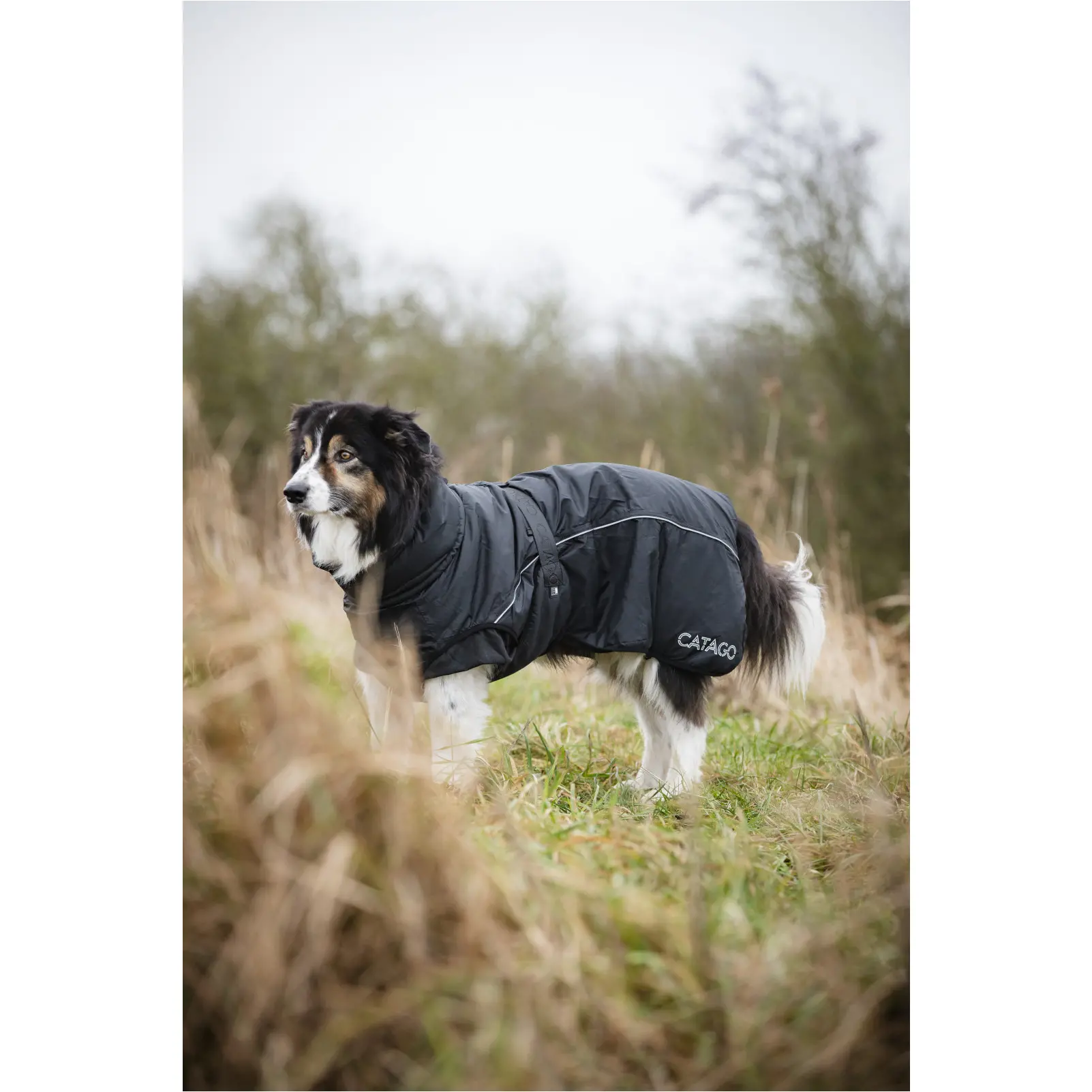 Winter Hundedecke FIR-Tech schwarz