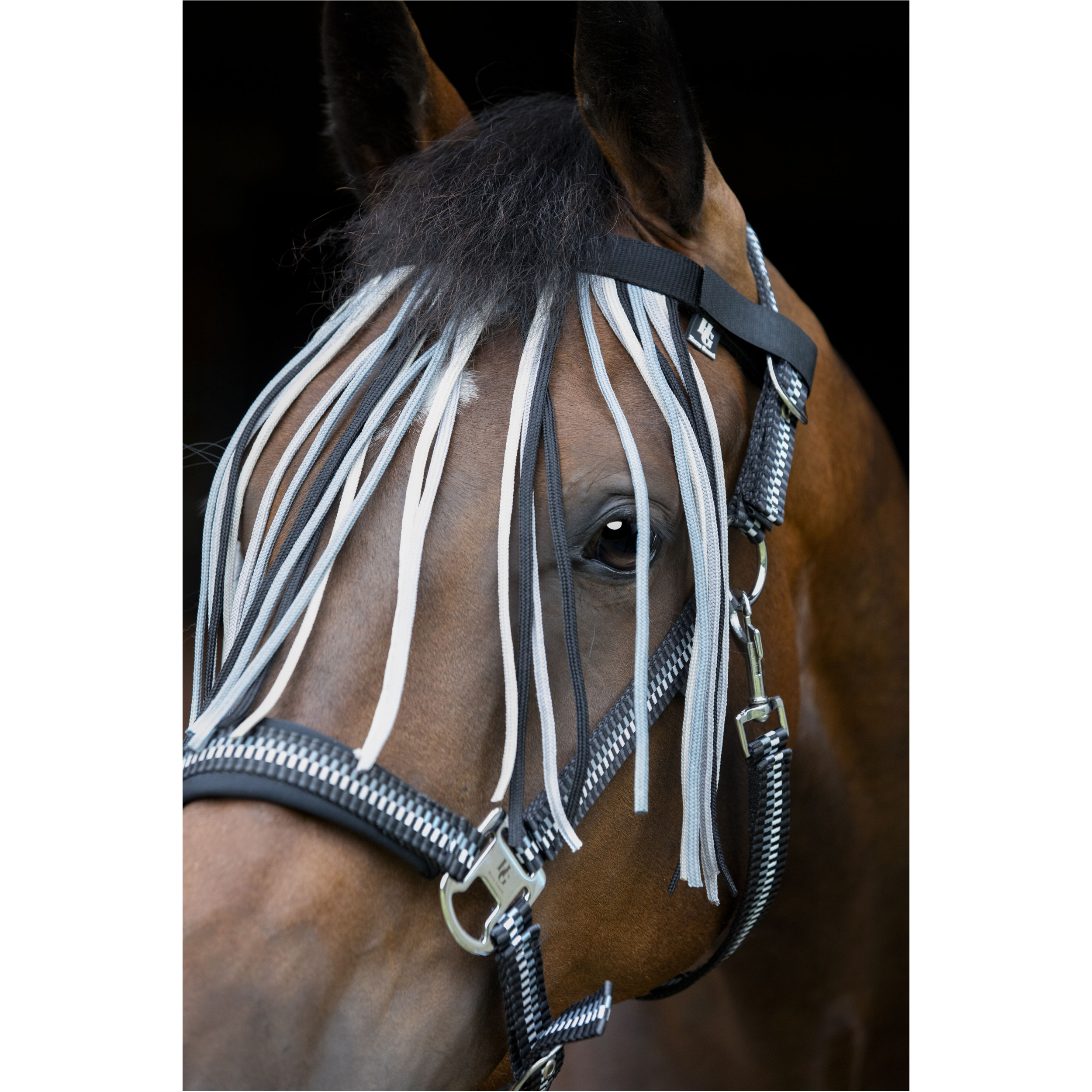 Fliegenfransen COLE asphalt