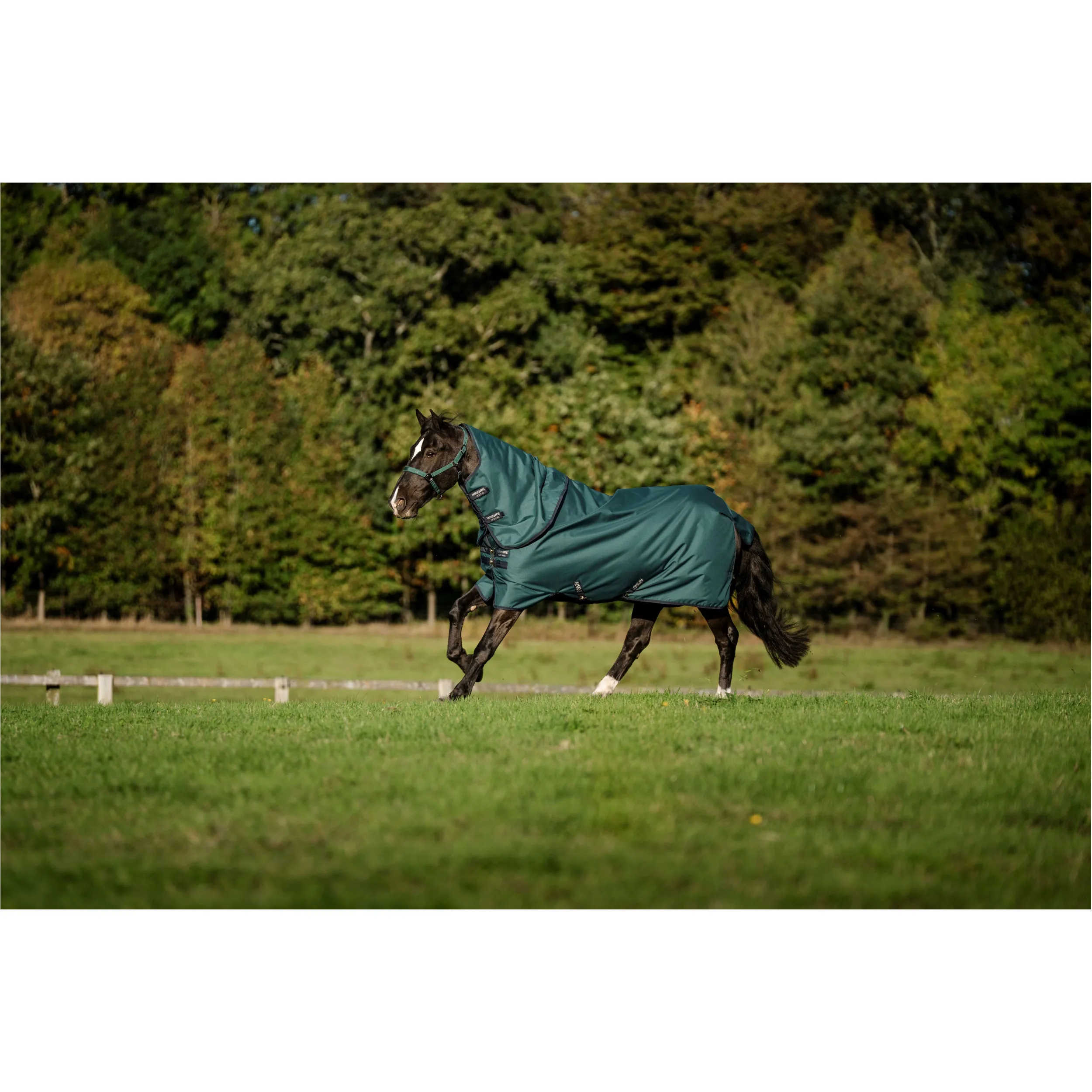 Outdoordecke Halsteil (abnehmbar) 100g Füllung 900D AMIGO Ripstop Plus Turnout dynasty green/navy/silver