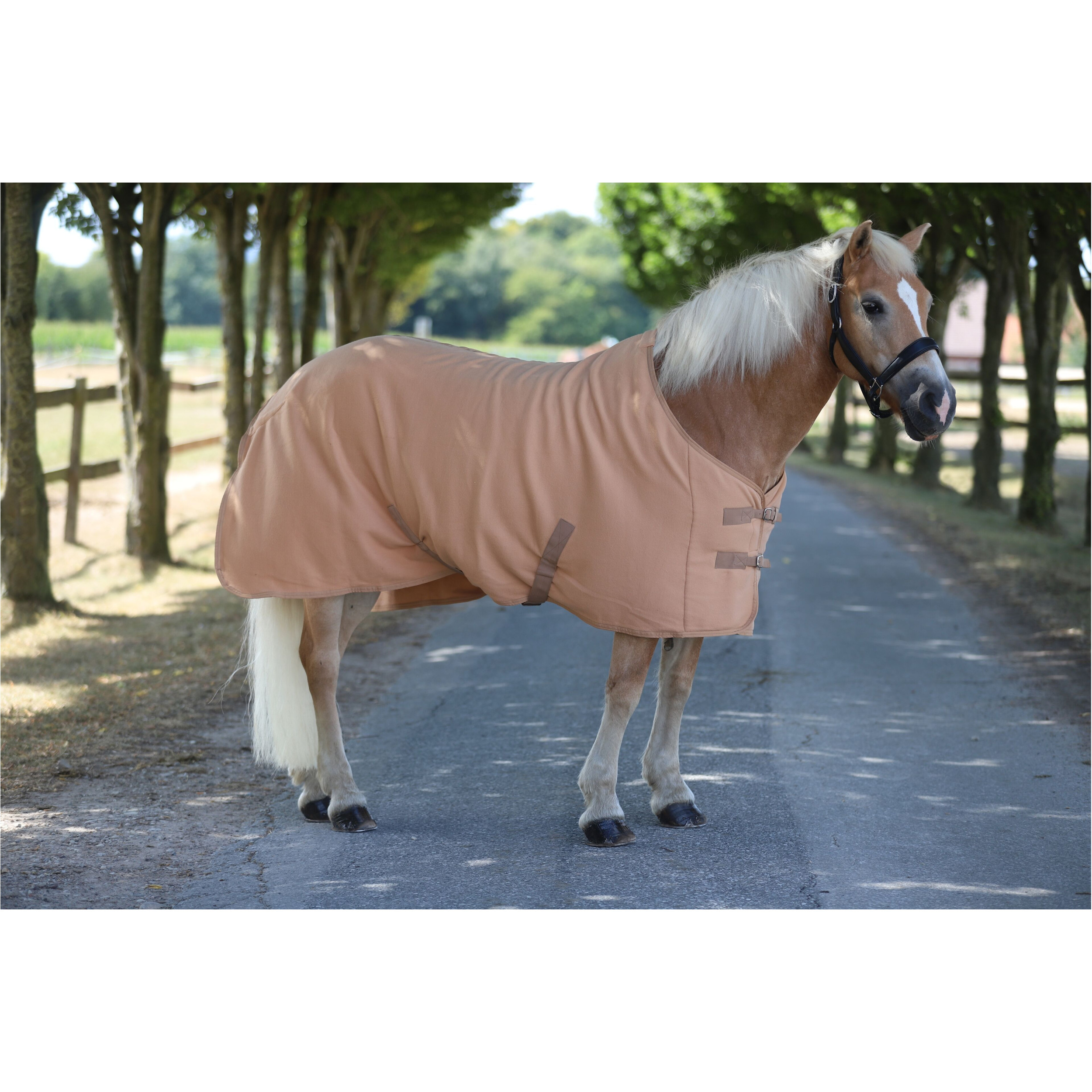 Abschwitzdecke mit Kreuzgurt BASICLINE hellbraun