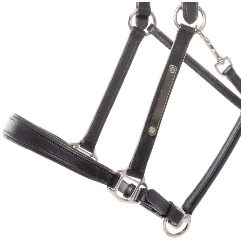 Lederhalfter BENNET schwarz/silber