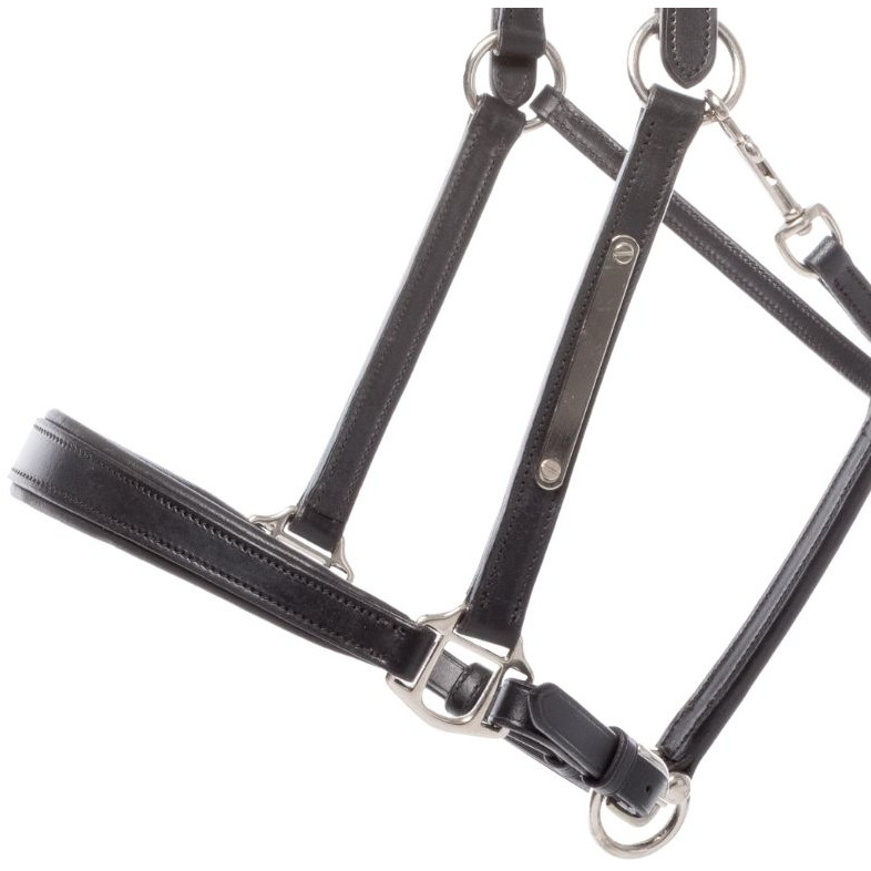 Lederhalfter BENNET schwarz/silber