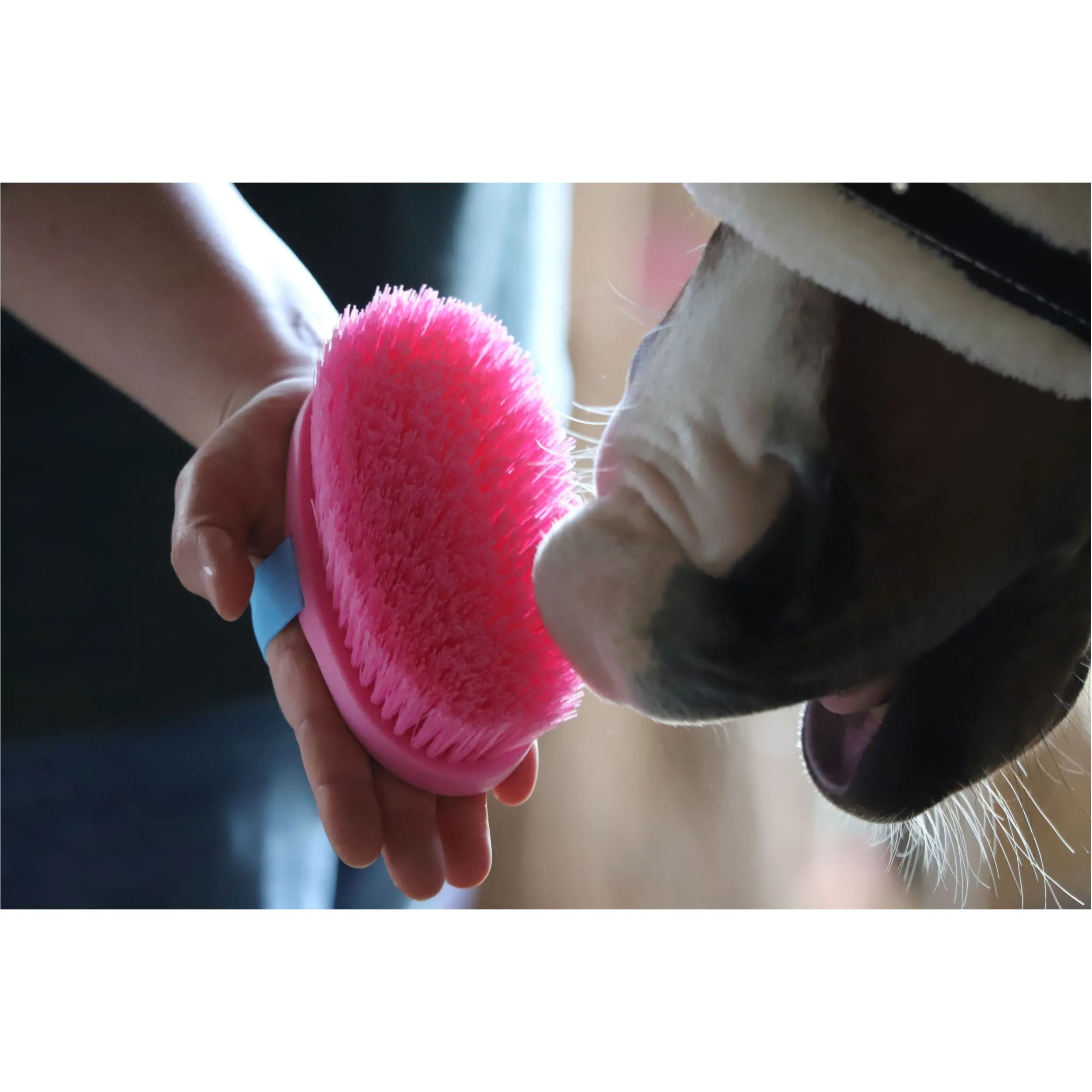 Kinder Kardätsche KINDERWURZEL mit Regenbogenhandschlaufe pink