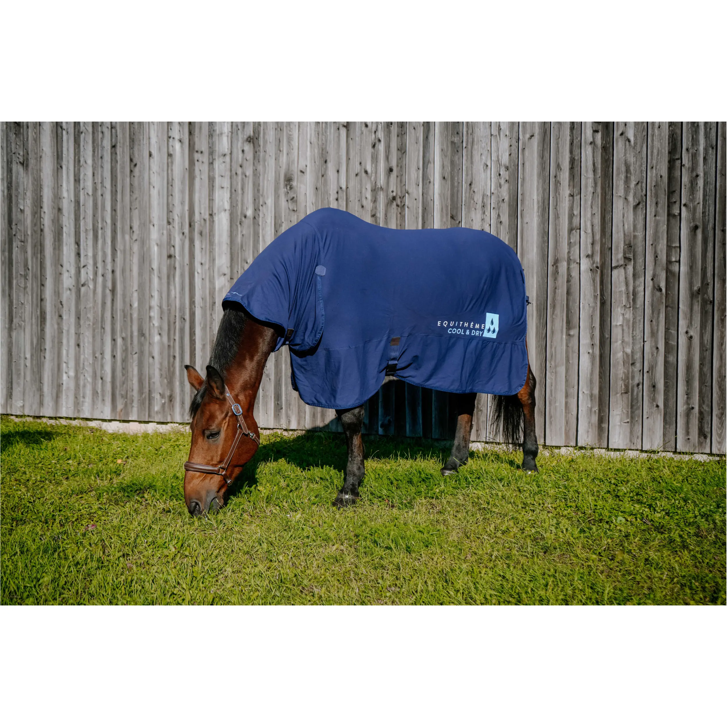 Kühldecke Kombi COOL&DRY FRESH navy 