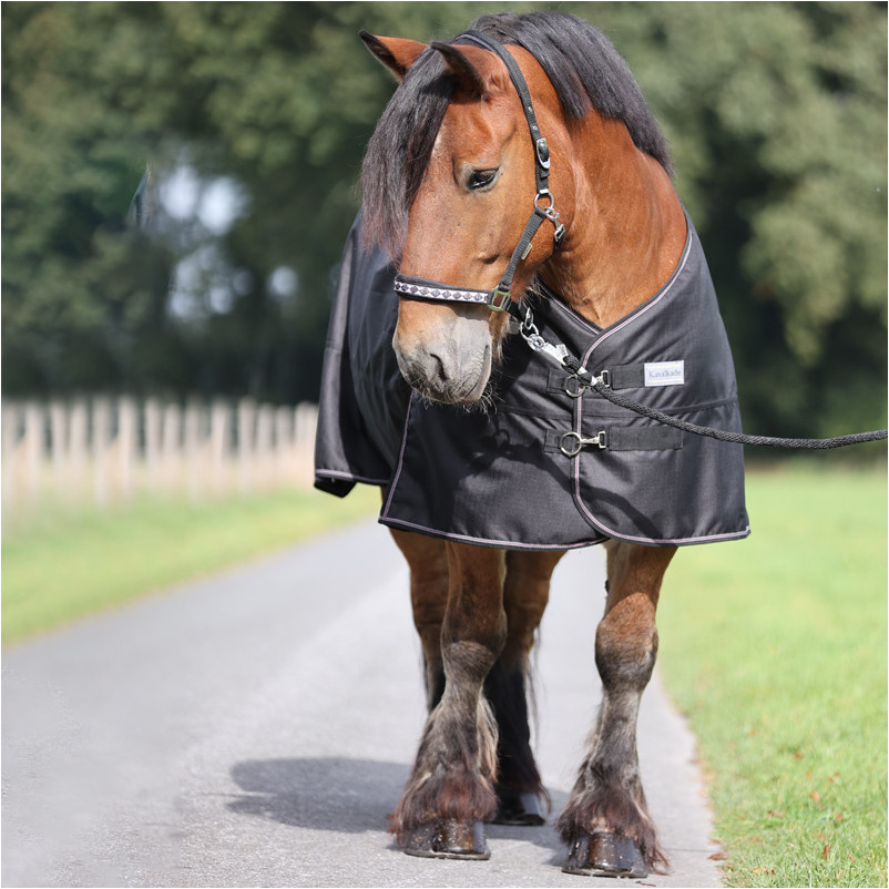 Outdoordecke 1200D KALTBLUT schwarz/schwarz-bordeaux-grau