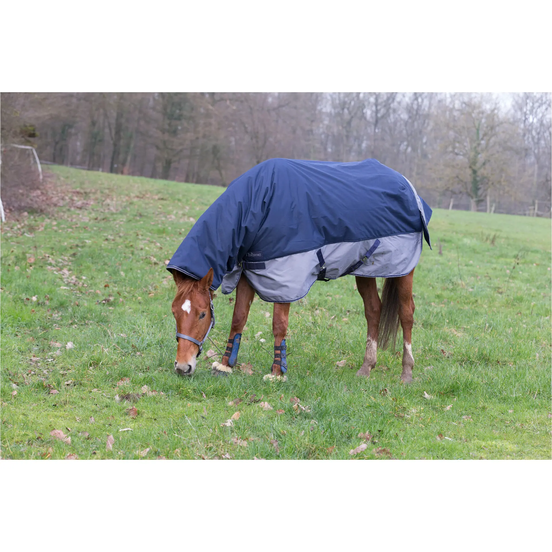 Weidedecke Combo 600D TYREX marineblau/grau Weidedecke Combo 600D TYREX marineblau/grau