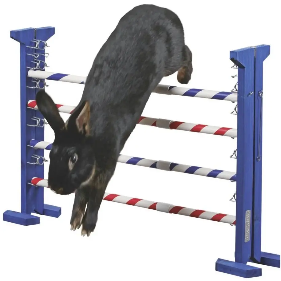 Agility Kombisprung für Nager 
