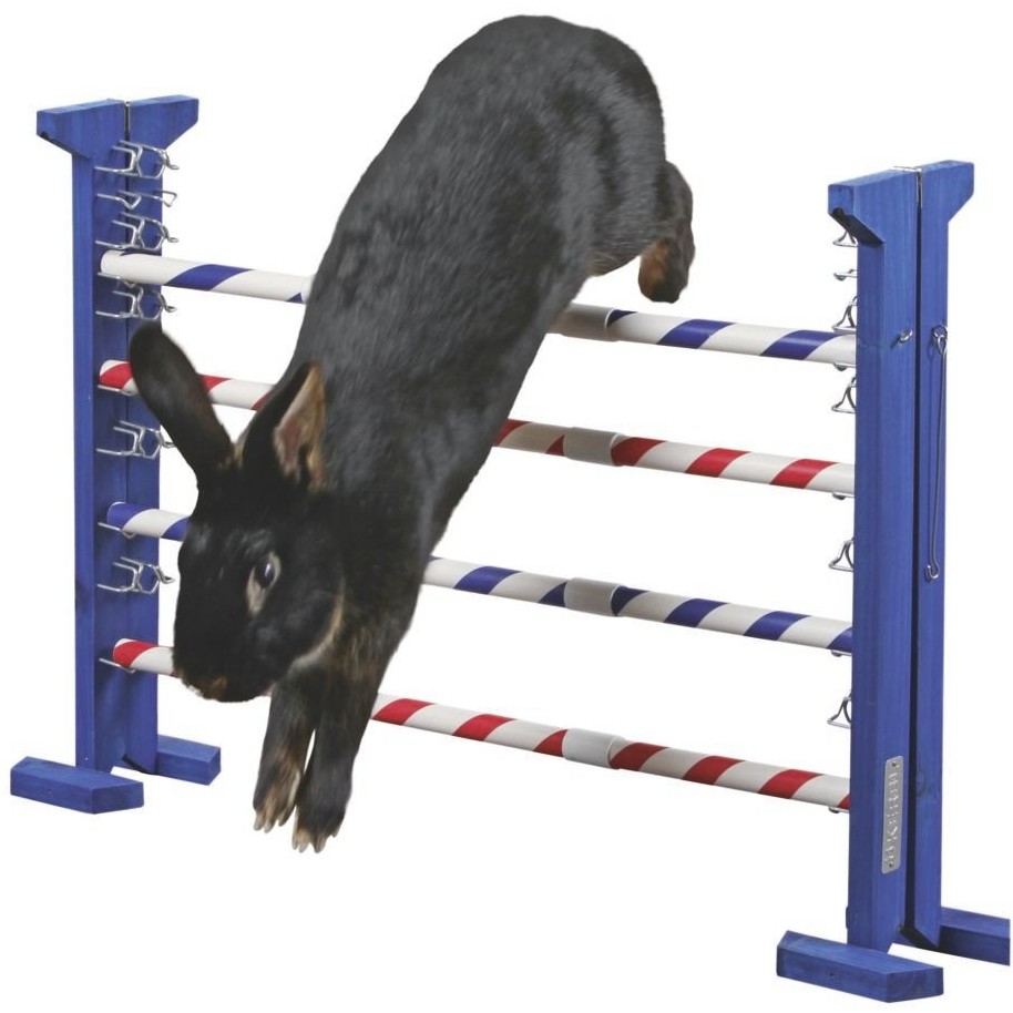 Agility Kombisprung für Nager 