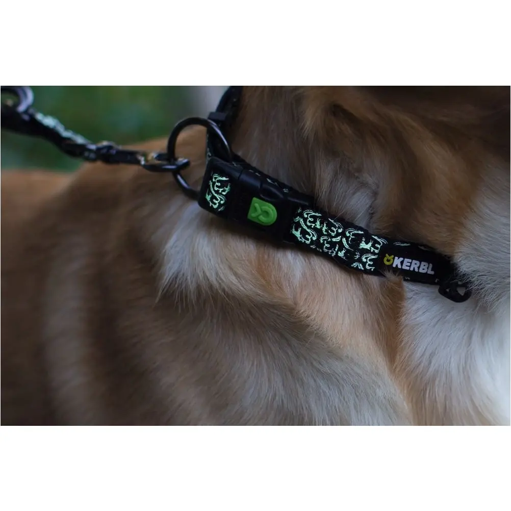 Hundehalsband SHINY NIGHT schwarz