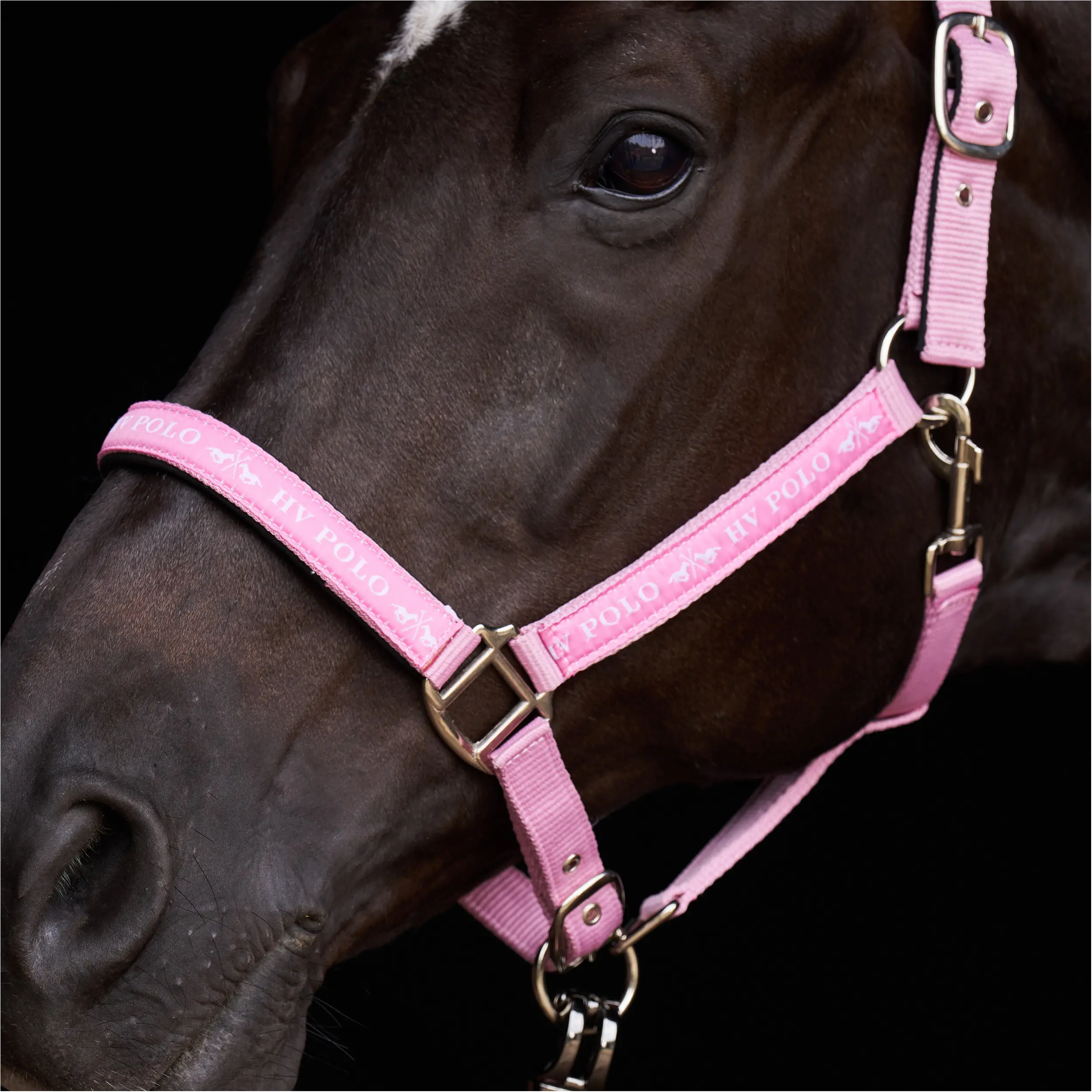 Halfter HVPNena pretty pink