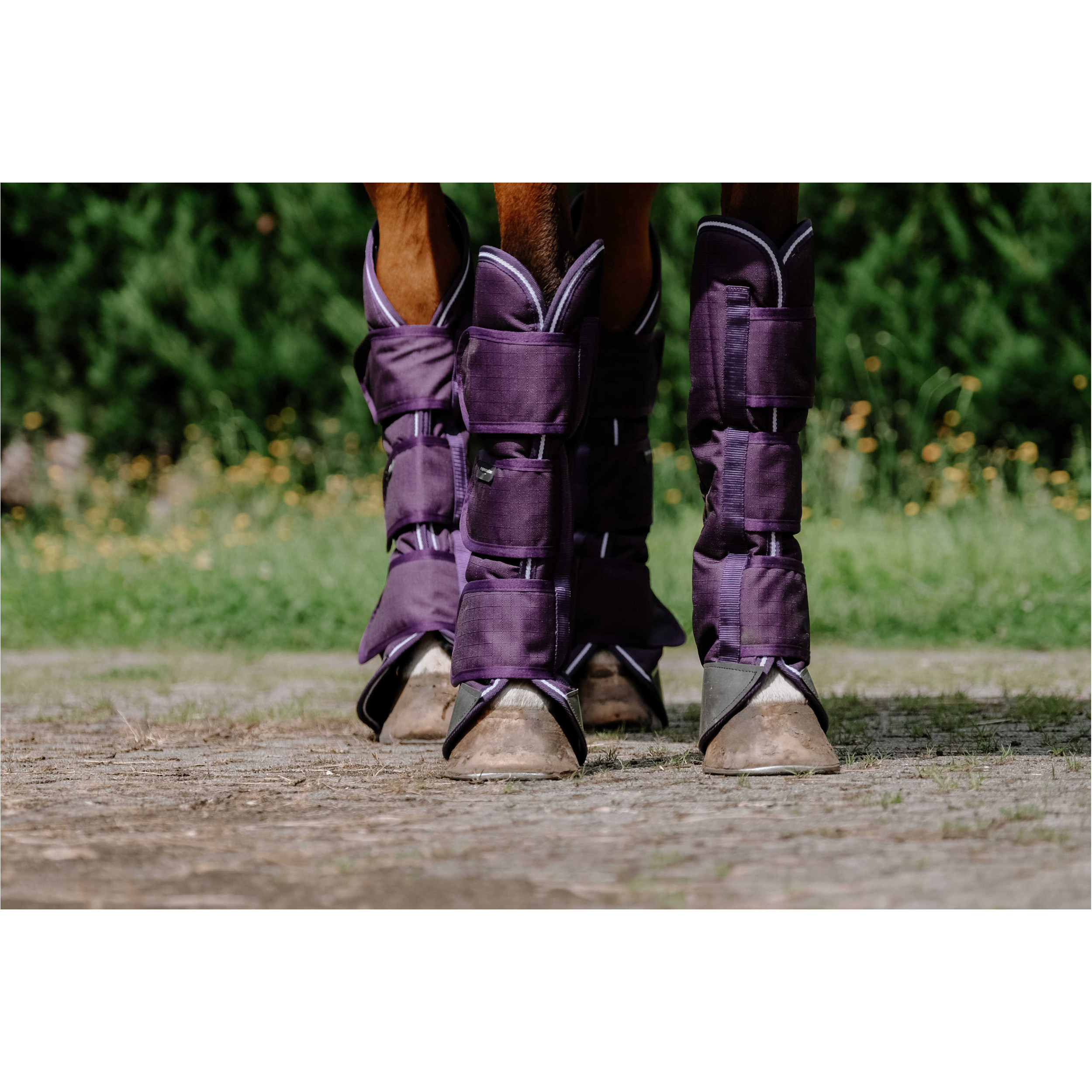 Transportgamaschen 600D TYREX pflaumenfarben