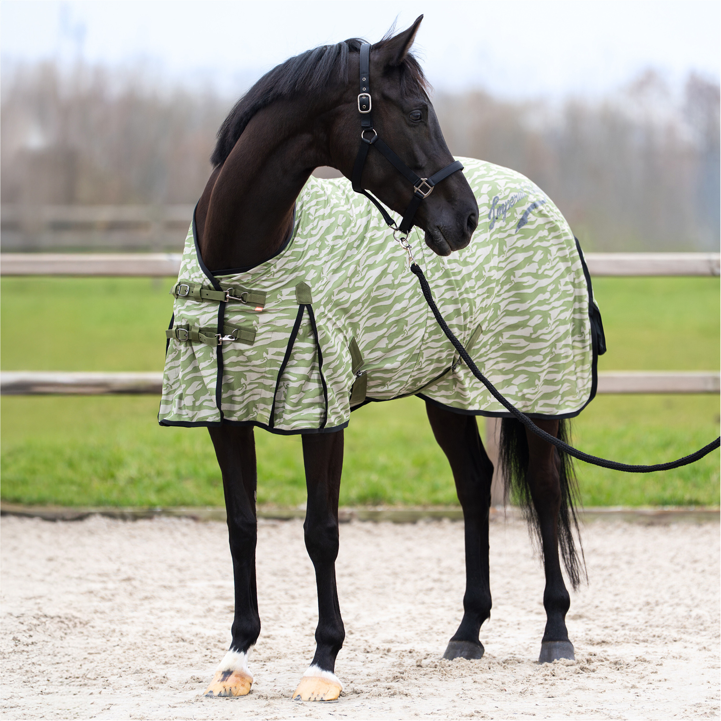 Fliegendecke IRHCarlys zebra AOP