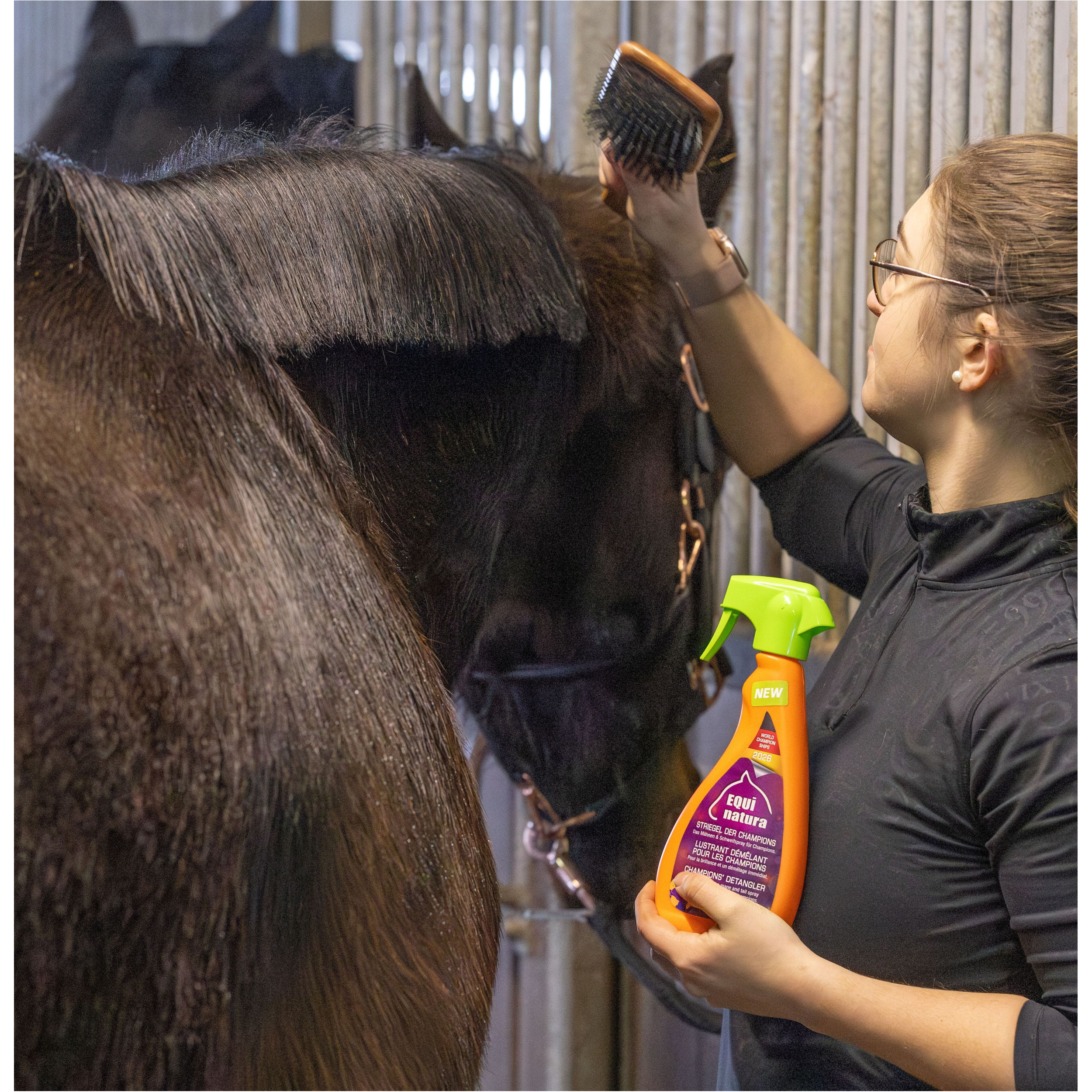 STRIEGEL DER CHAMPIONS 480ml