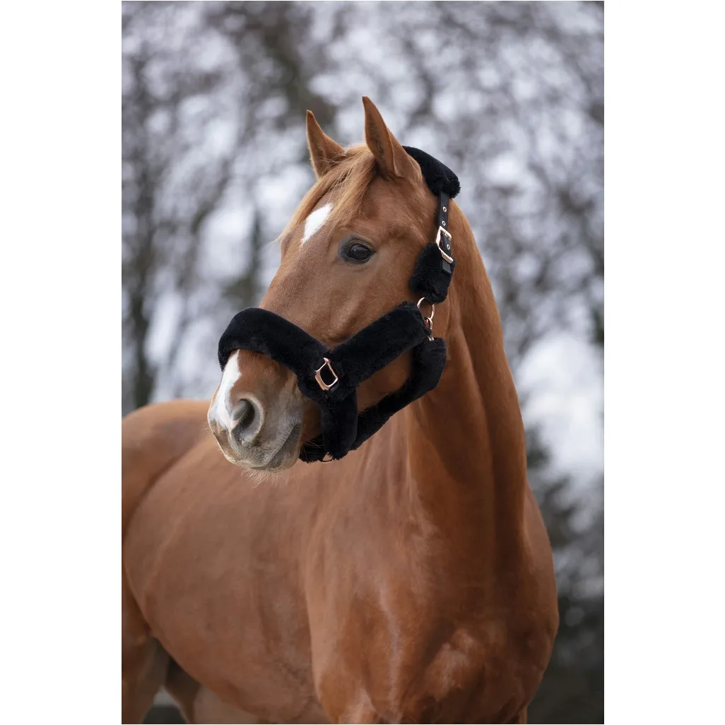 schwarz/rosegold