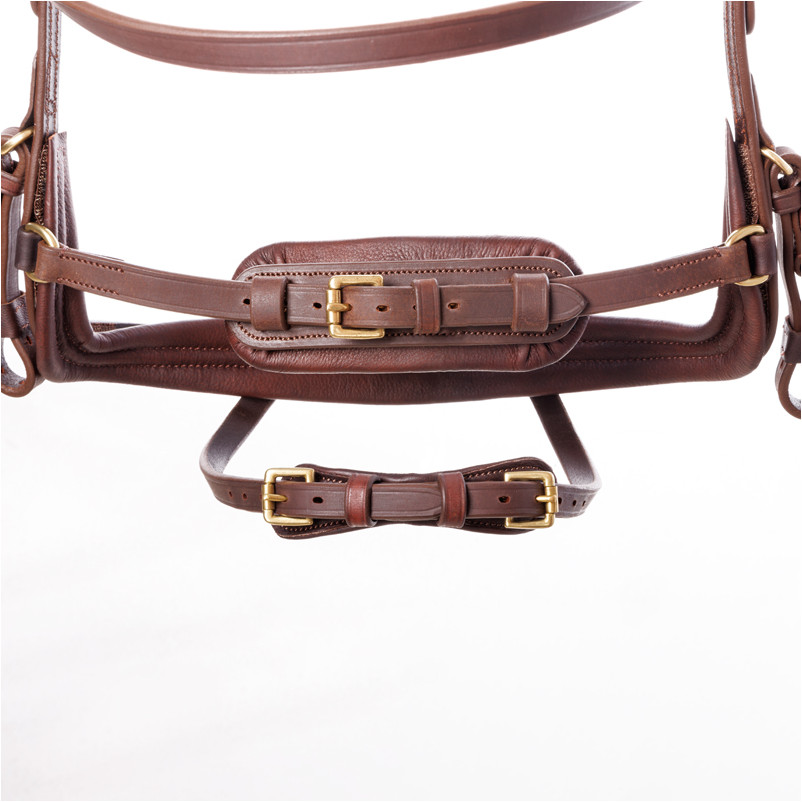 Trensenzaum englisch kombiniert CALIANO CERRA Leder geölt braun/messing