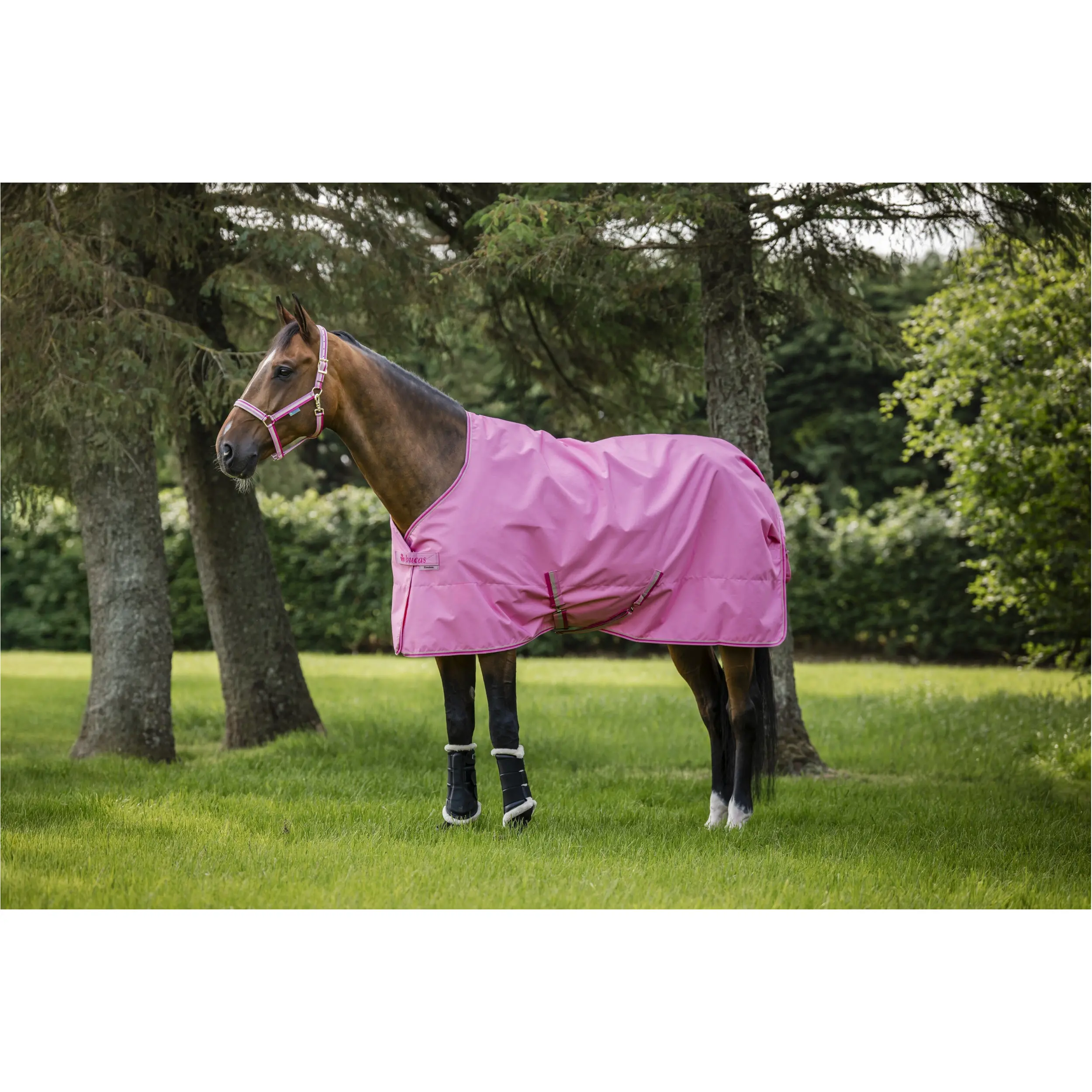 Regendecke Light FREEDOM TURNOUT aurora pink Regendecke Light FREEDOM TURNOUT aurora pink