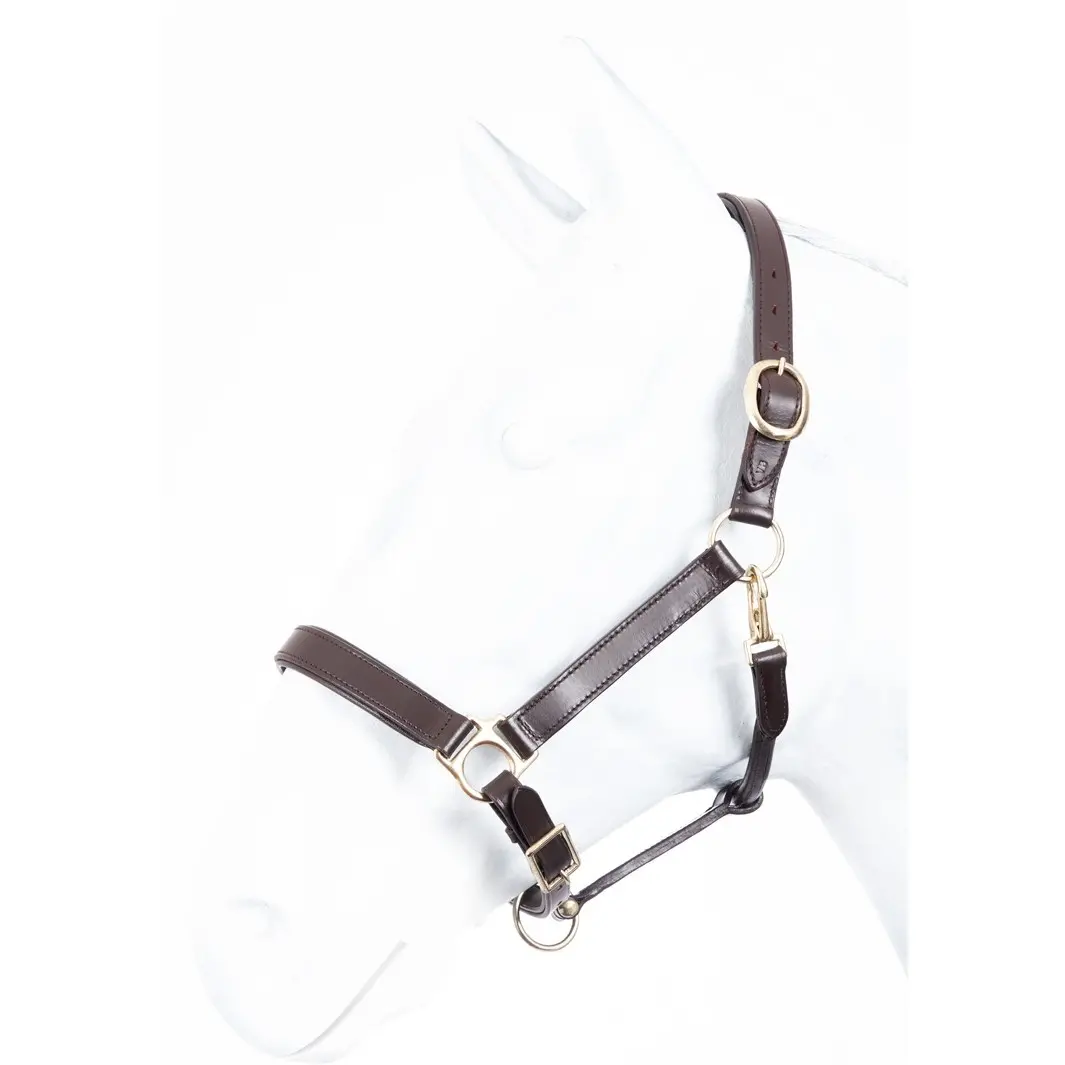 Halfter ROBUST Leder braun