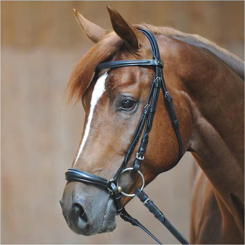 Trensenzaum hannoveranisch LINA schwarz