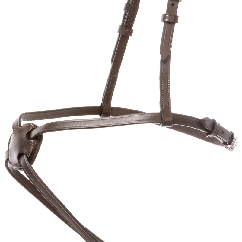 Mexikanisches Reithalfter braun