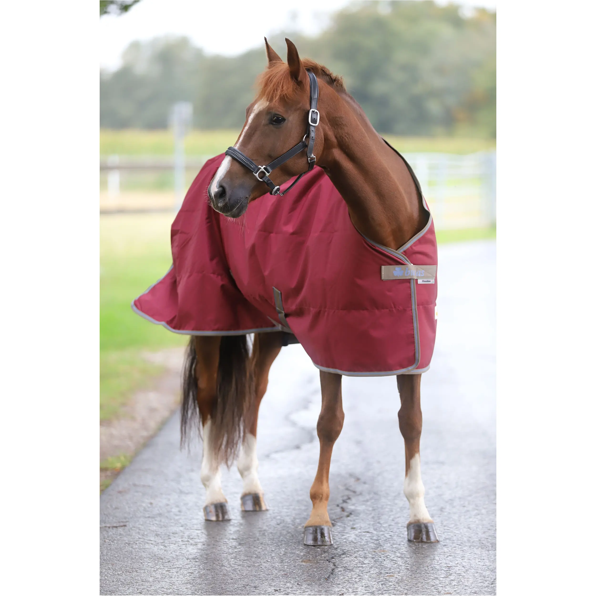 Weidedecke 50g Füllung 600D FREEDOM TURNOUT weinrot/beige Weidedecke 50g Füllung 600D FREEDOM TURNOUT weinrot/beige