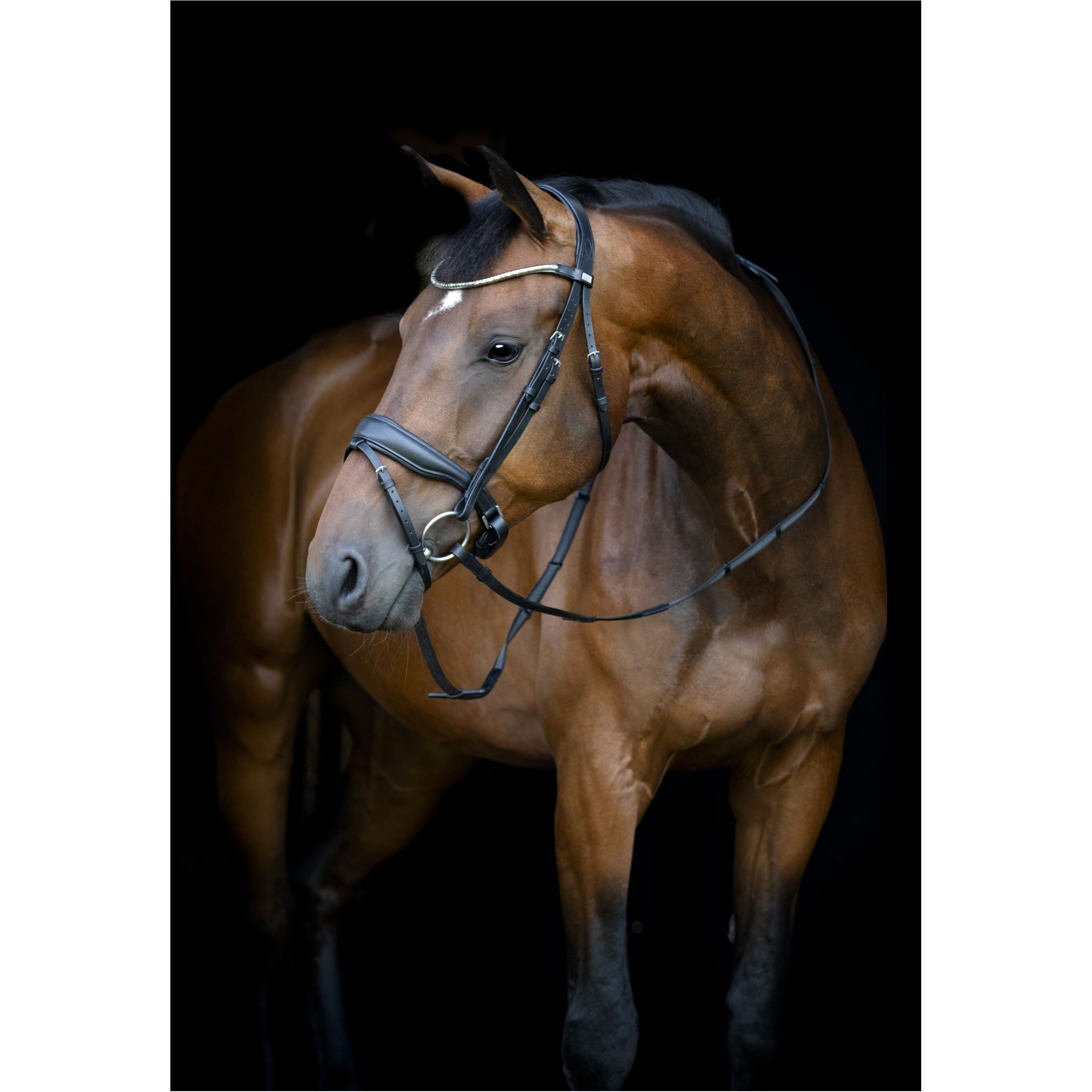 Trensenzaum schwedisch kombiniert CRYLL 26.1 schwarz