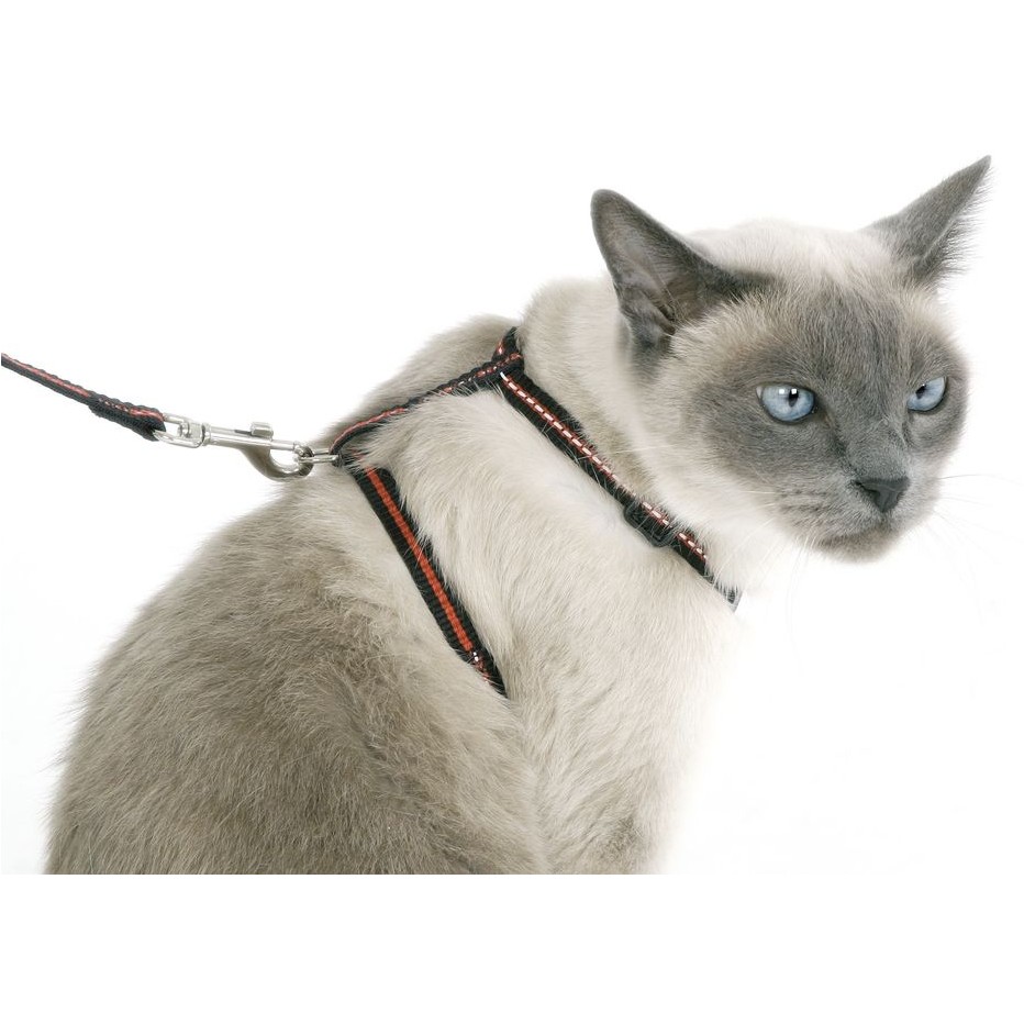 Katzen Set aus Halsband Geschirr und Leine reflektierend