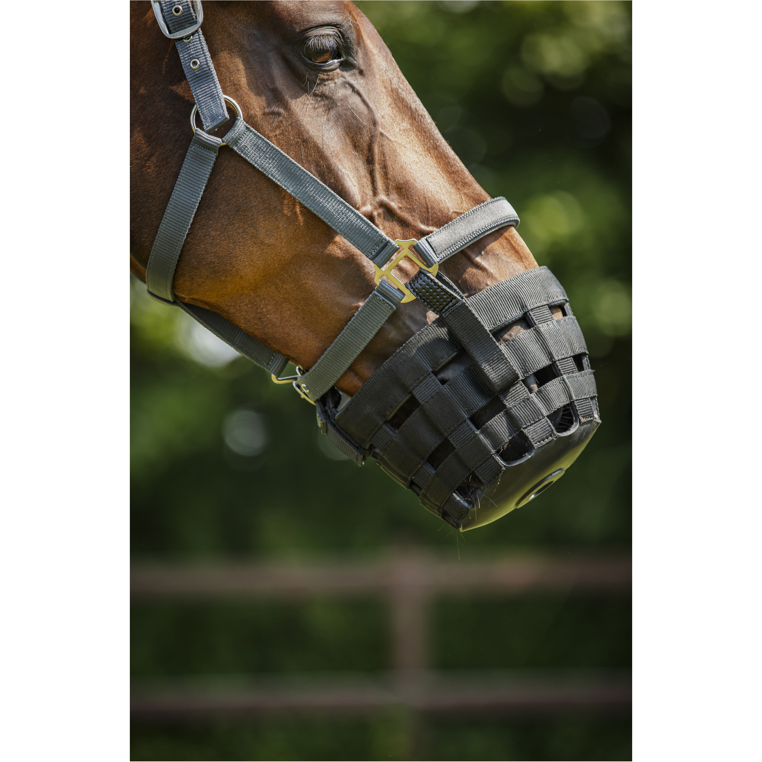 Fressbremse für Halfter schwarz Fressbremse für Halfter schwarz