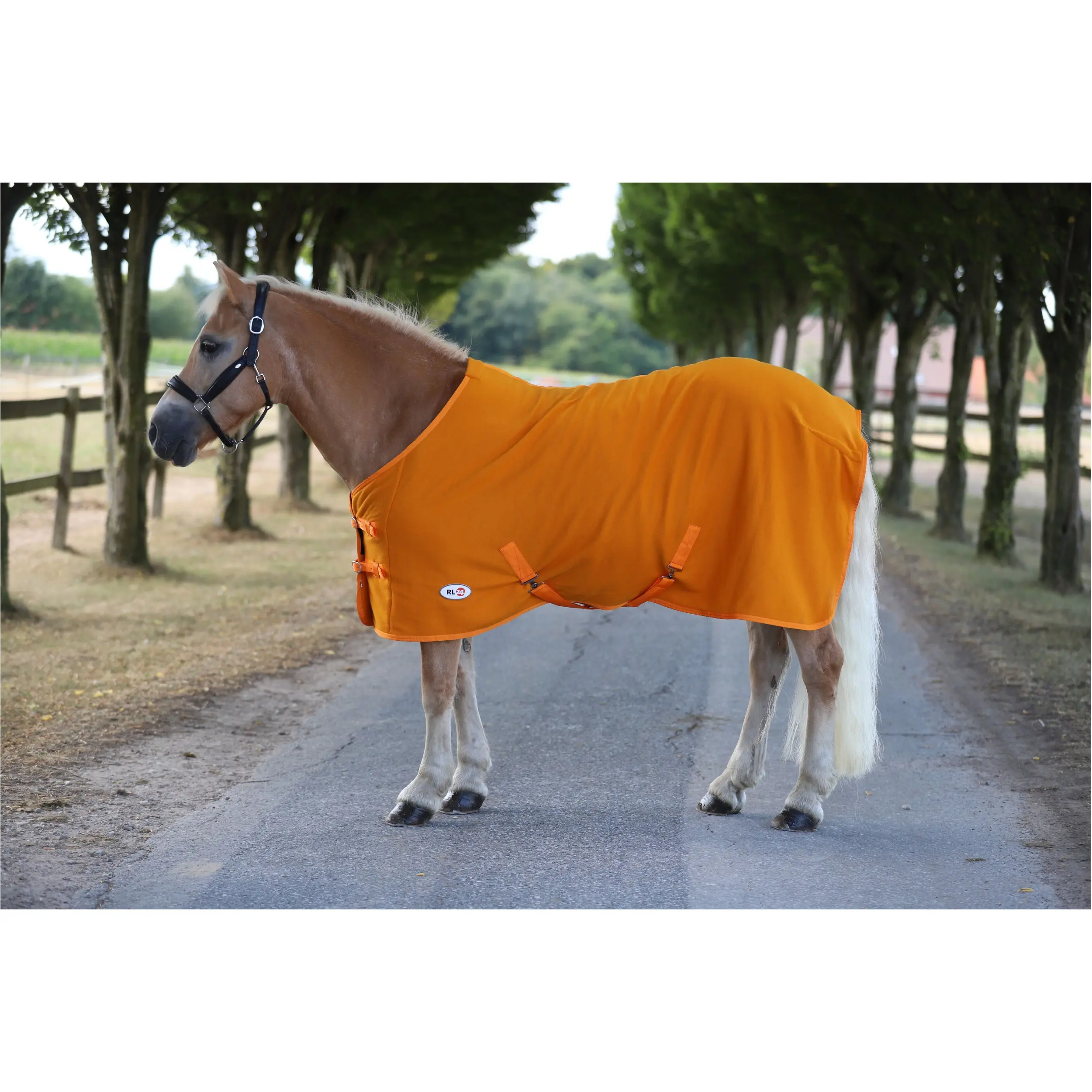 Abschwitzdecke mit Kreuzgurt BASICLINE rost Abschwitzdecke mit Kreuzgurt BASICLINE rost