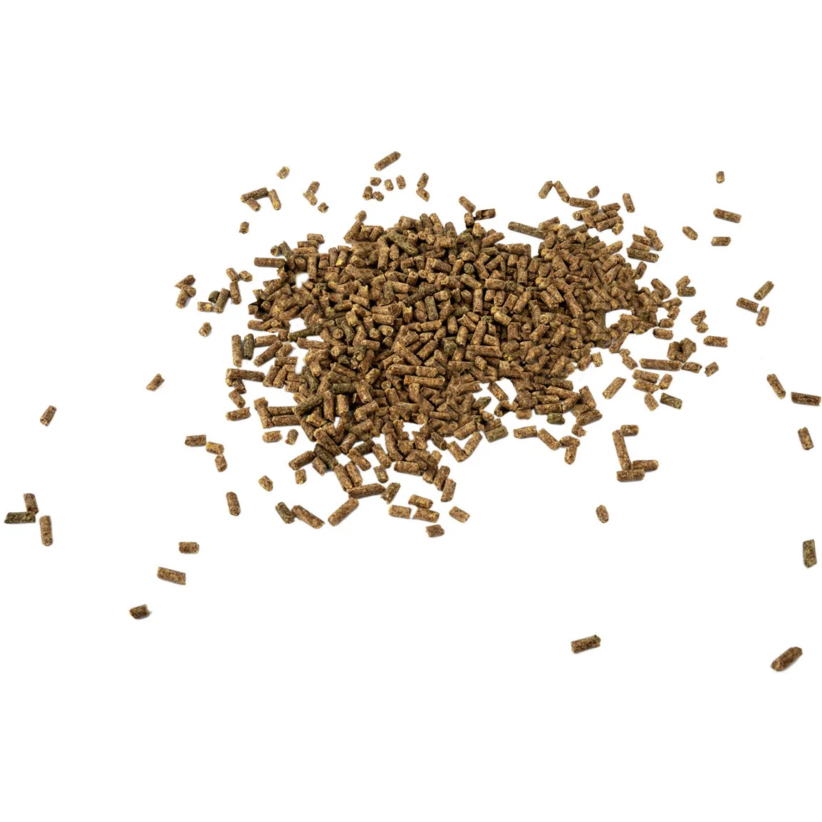 Magnesium - für mehr Ausgeglichenheit 1000g