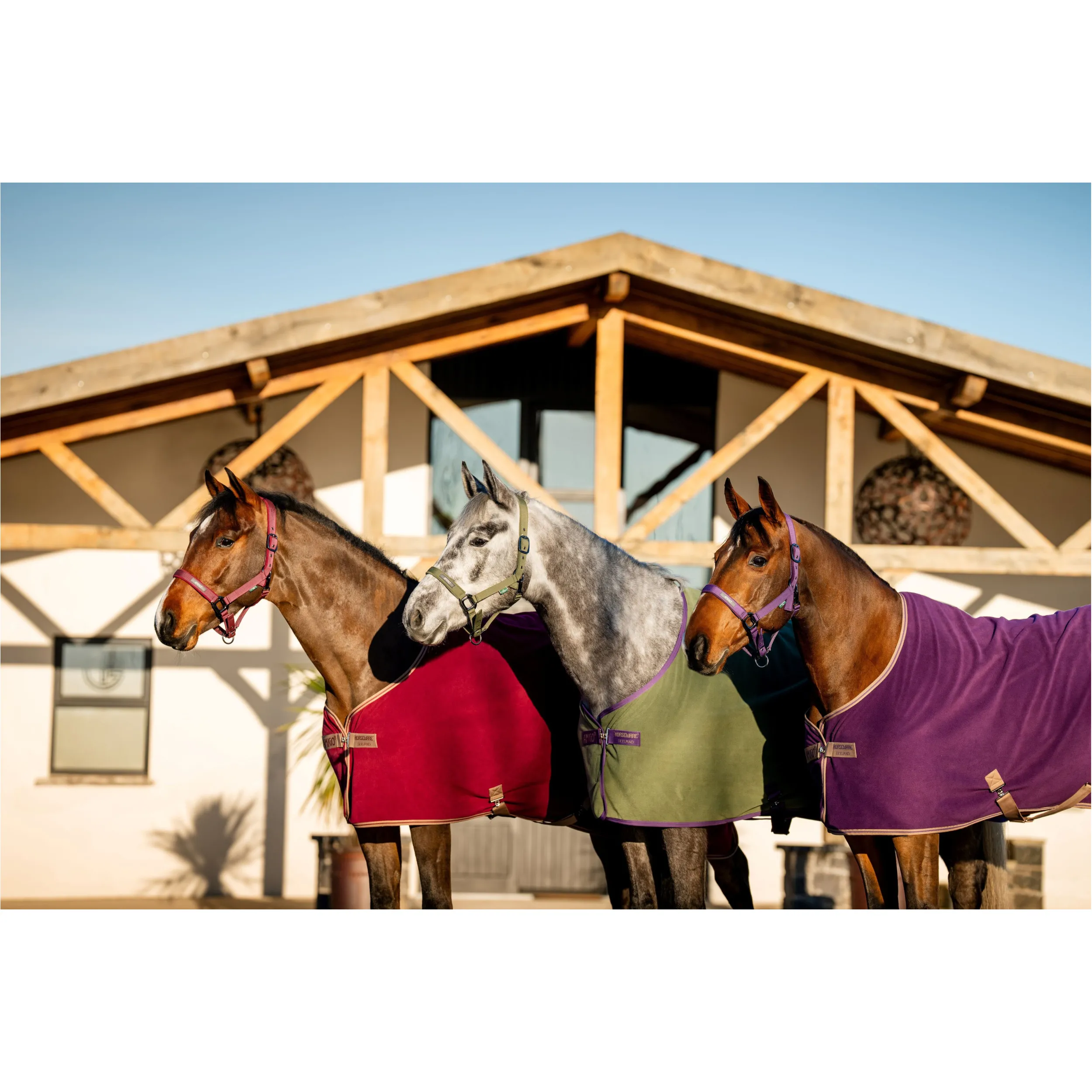 Abschwitzdecke AMIGO Fleece Cooler bramble/winterberry/taupe