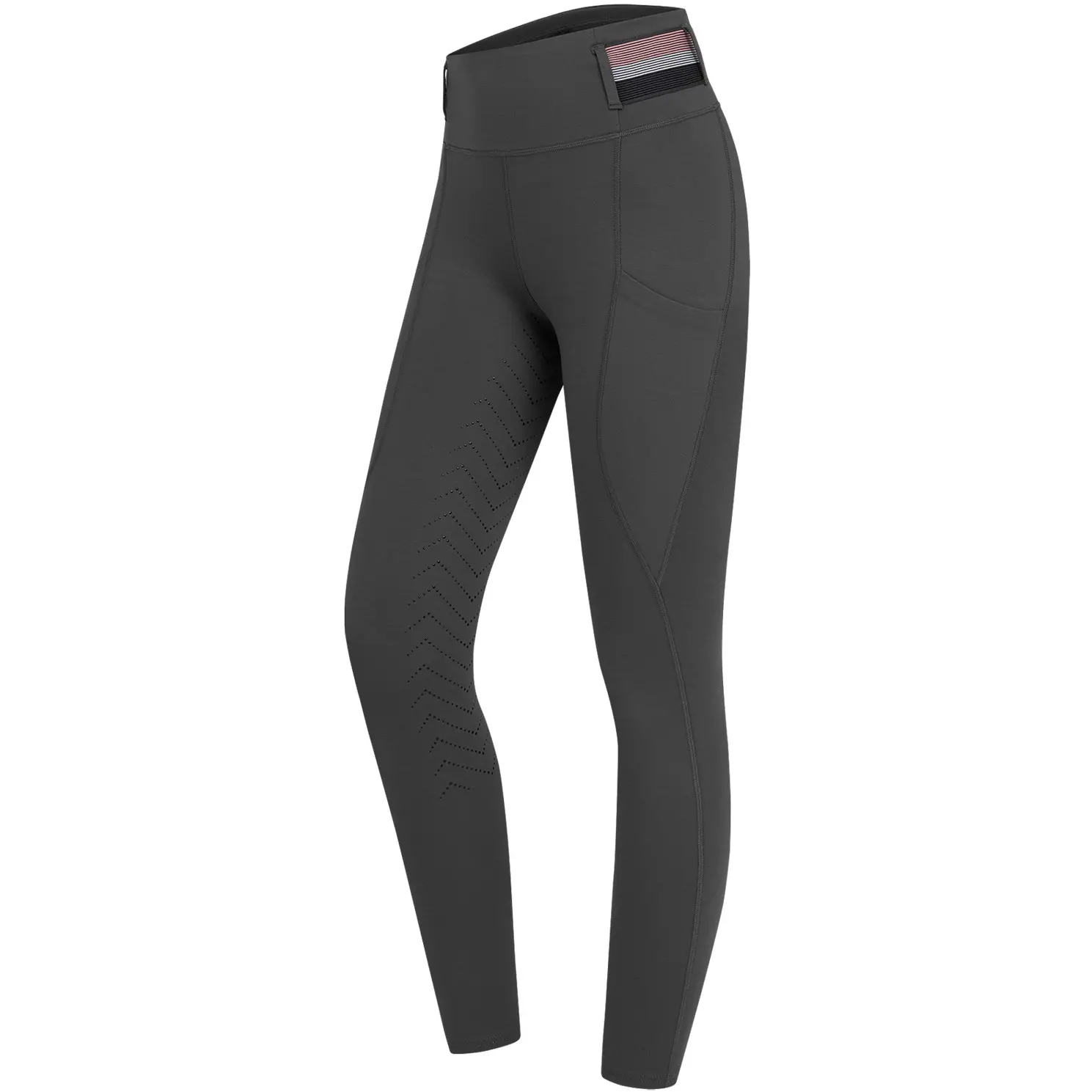 Damen Reitleggings Silikon Vollbesatz NALA Hochbund asphalt