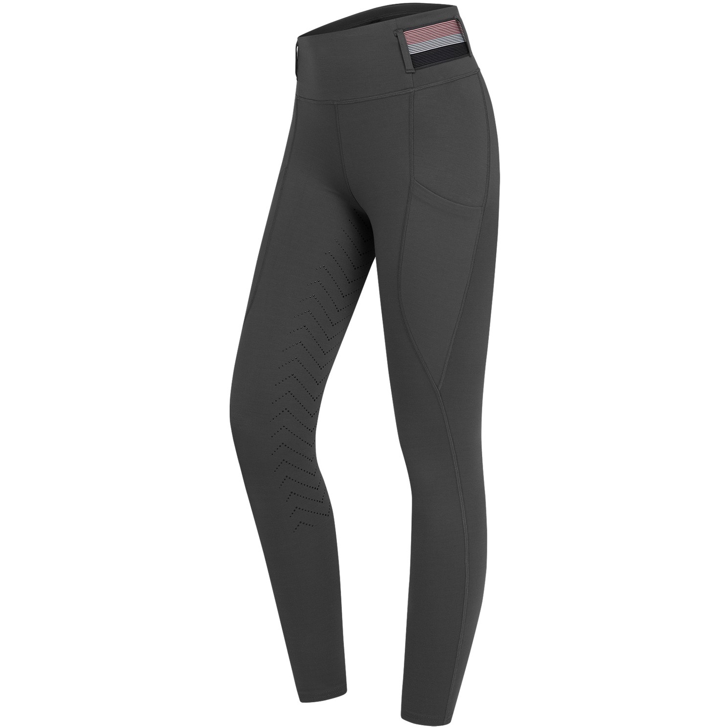 Damen Reitleggings Silikon Vollbesatz NALA Hochbund asphalt