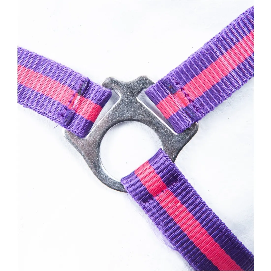 Halfter BUDAPEST lila/lavendel Halfter BUDAPEST lila/lavendel