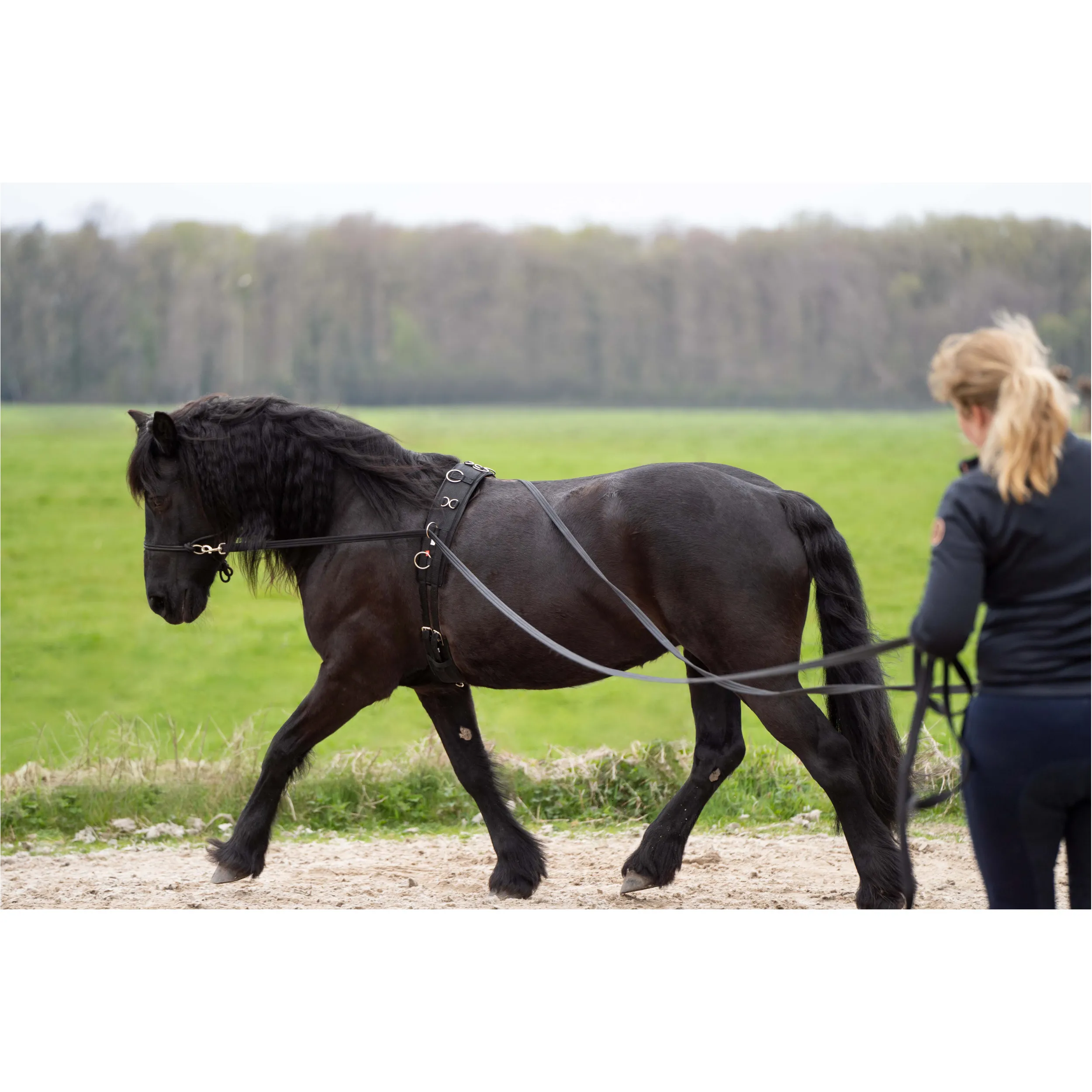 Lange Zügel (2er Set) IRHFree Ride schwarz