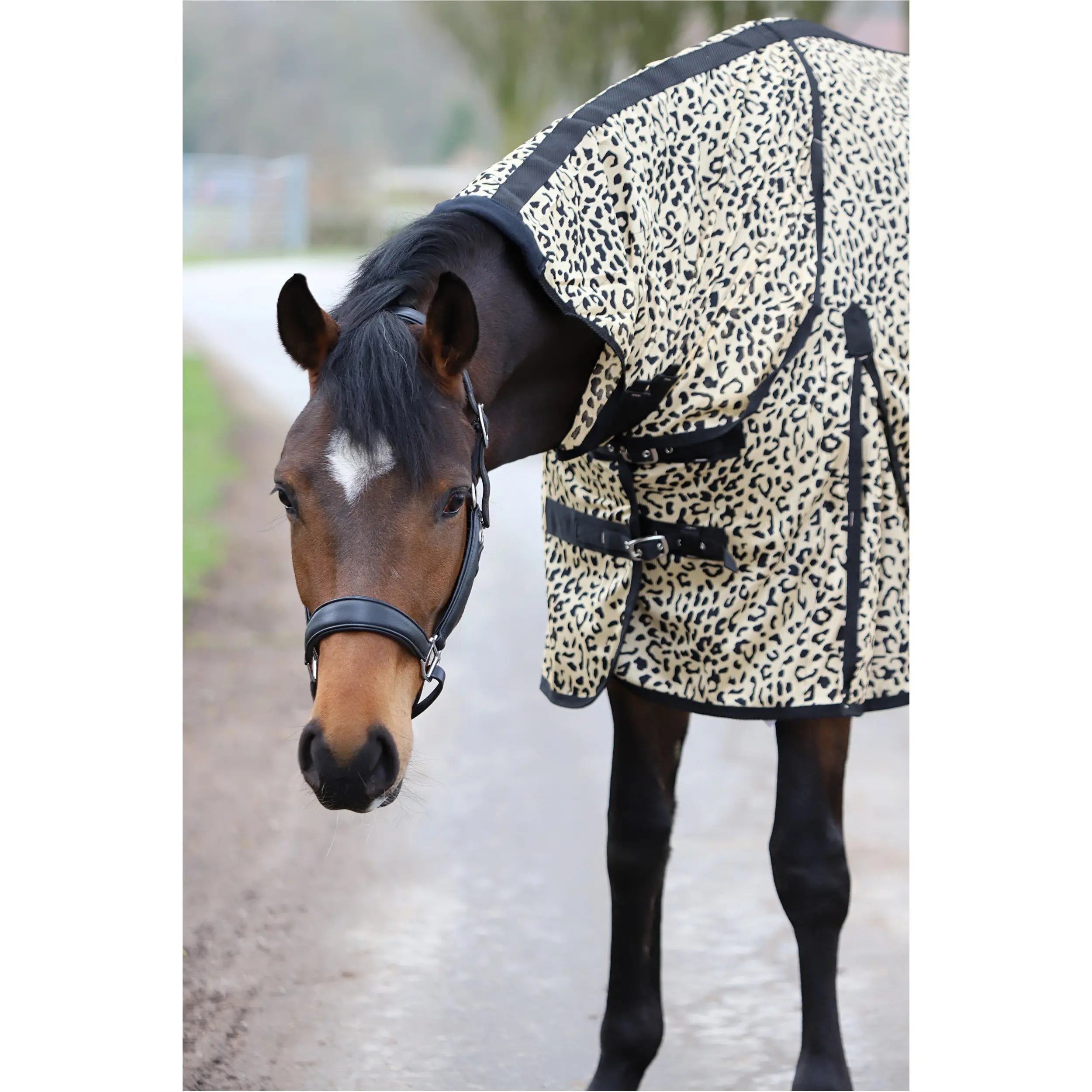 Fliegendecke mit Halsteil und Kreuzgurt DESIGN Leopard beige/schwarz