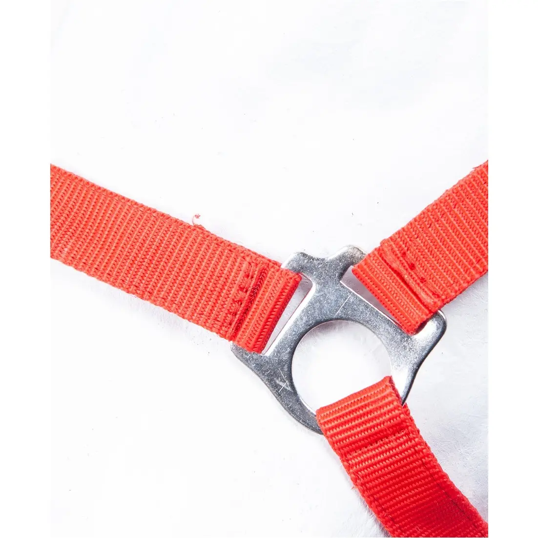 Halfter INNSBRUCK rot Halfter INNSBRUCK rot