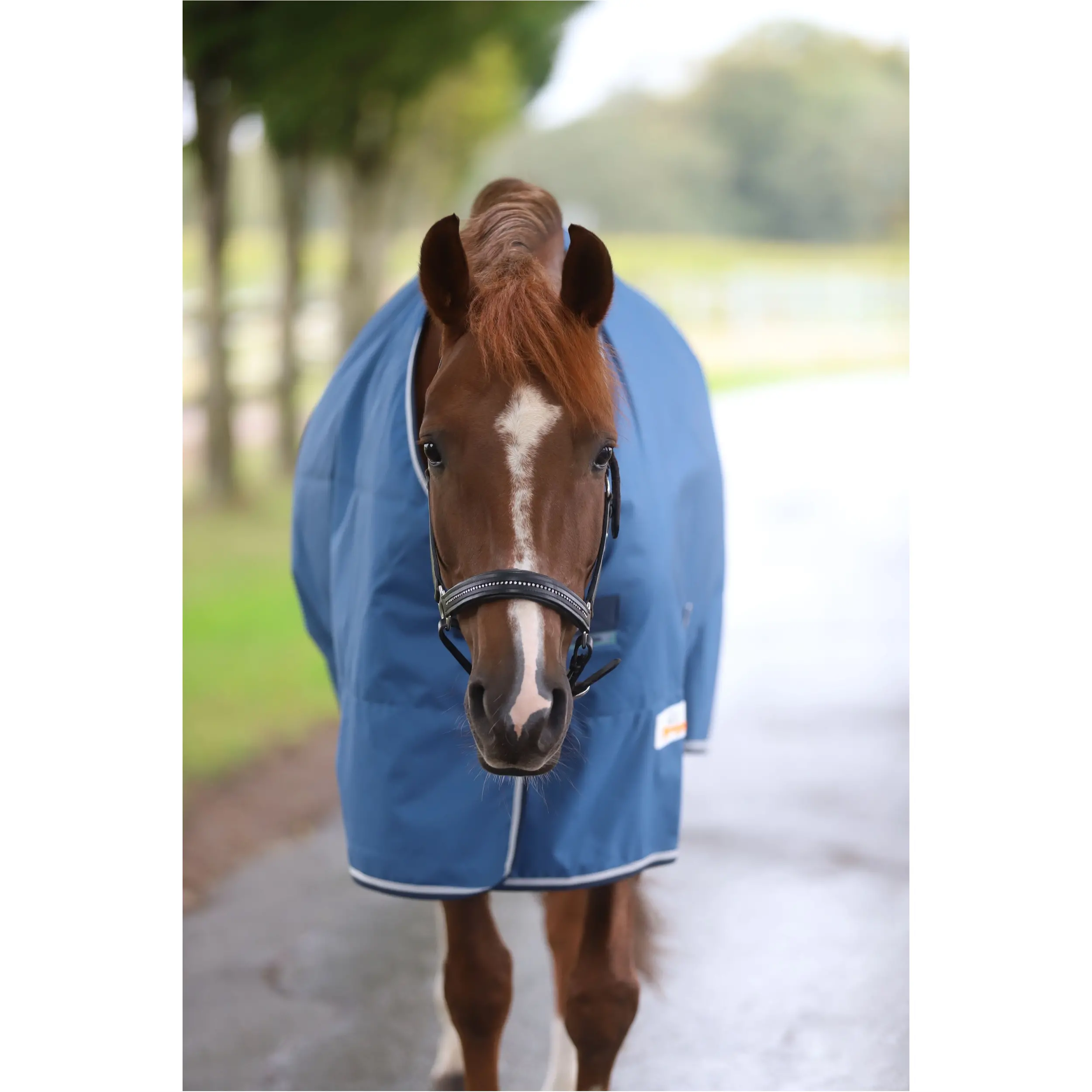 Weidedecke 50g Füllung 600D FREEDOM TURNOUT blau/navy Weidedecke 50g Füllung 600D FREEDOM TURNOUT blau/navy