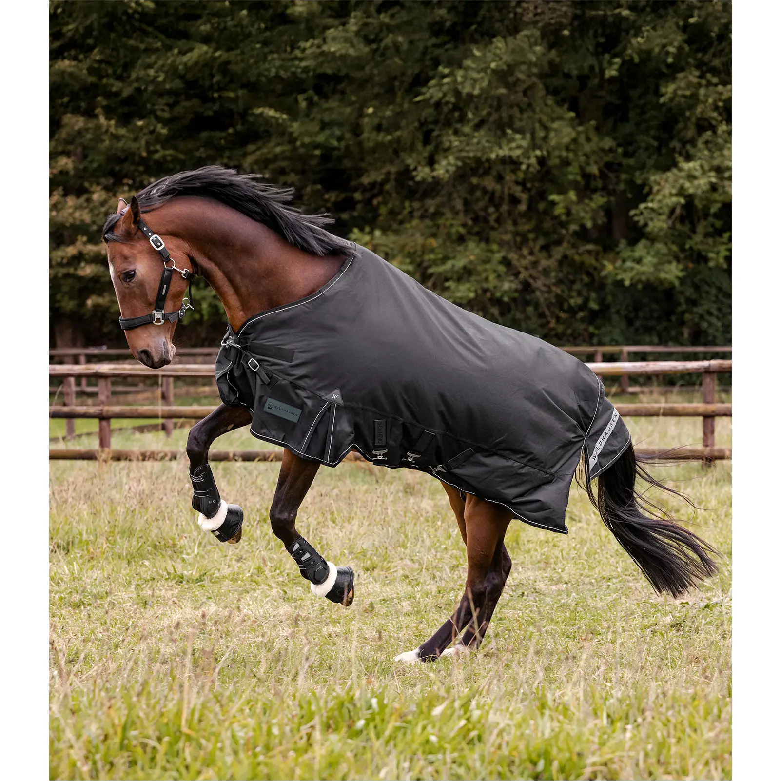 Outdoordecke Multi-Layer 150g/50g Füllung 1200D SCANDIC schwarz
