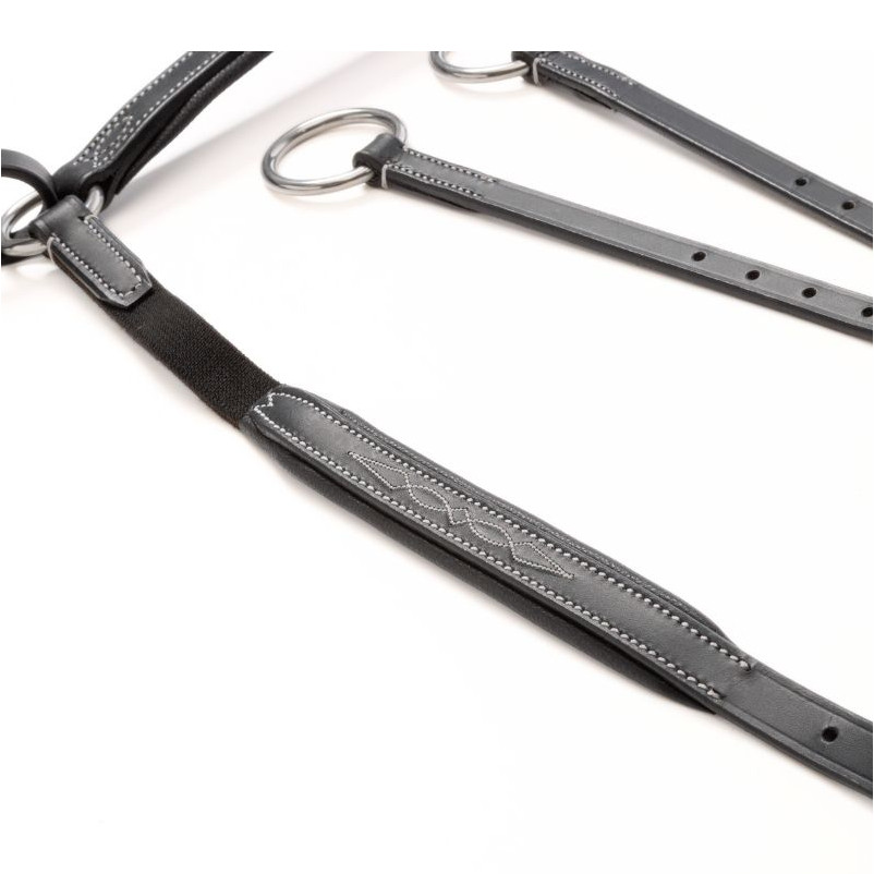 Vorderzeug hoch mit Elast DEXTER schwarz