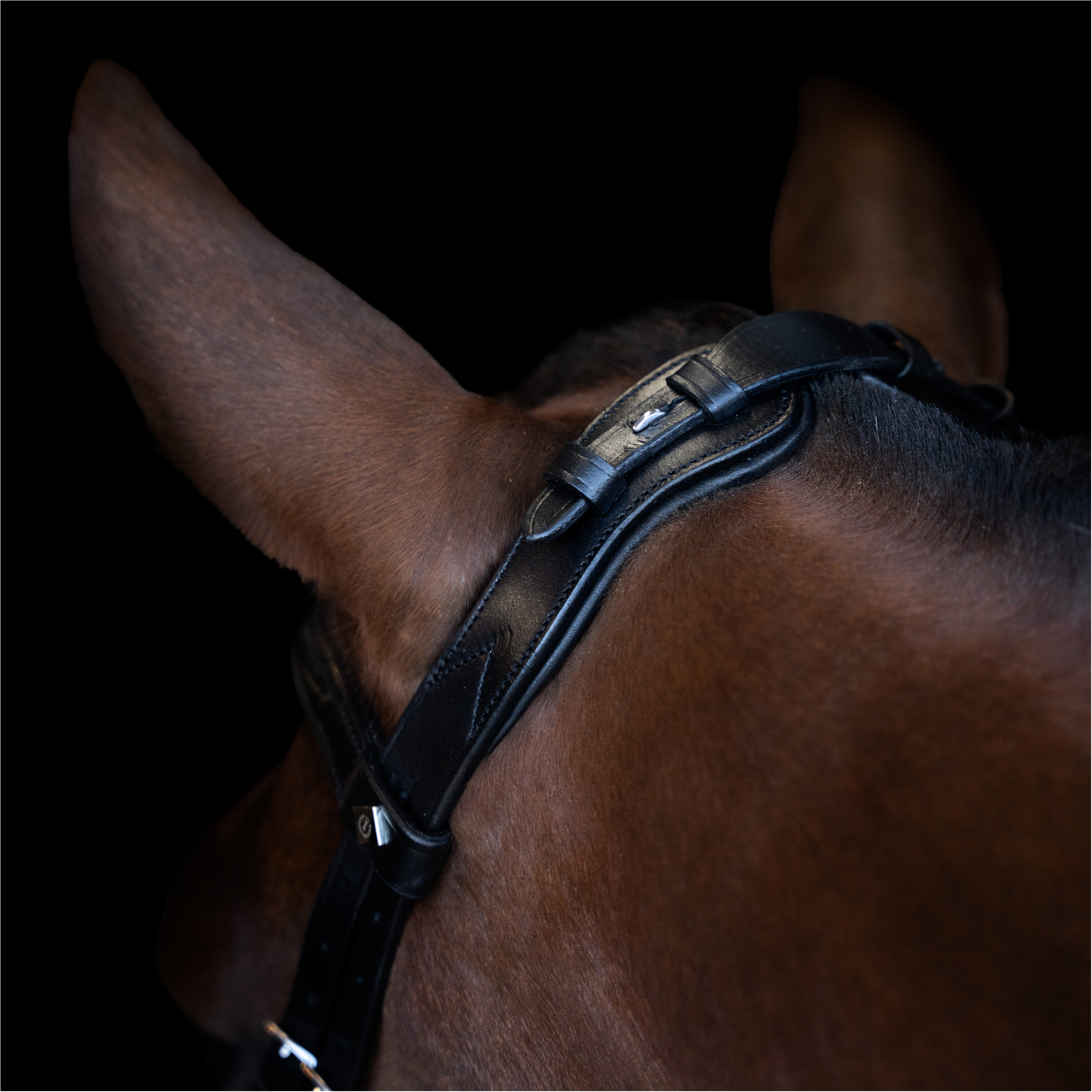 Trensenzaum IRH mit ergonomischem Nasenriemen schwarz