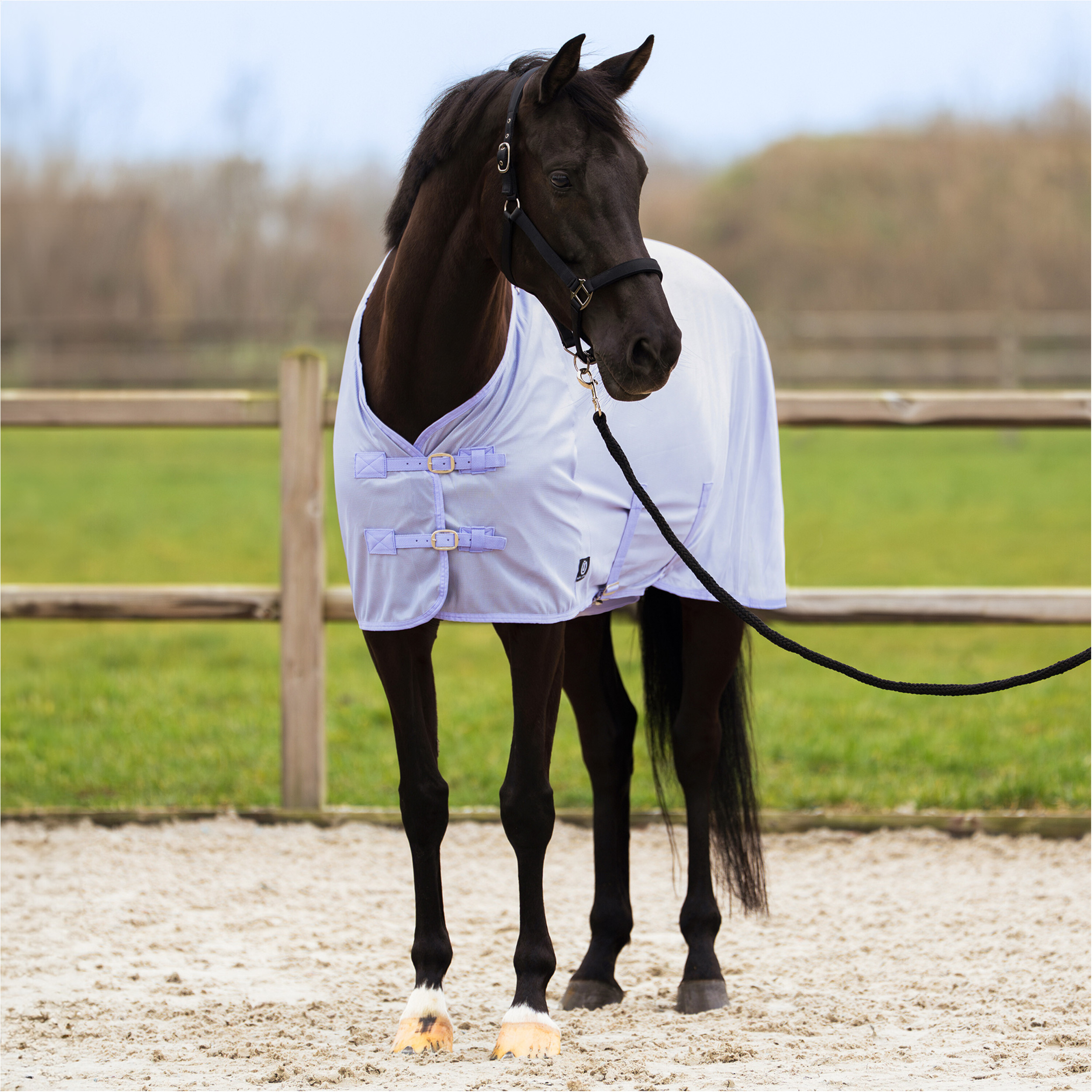 Fliegendecke mit Halsteil (abnehmbar) IRHReese wisteria
