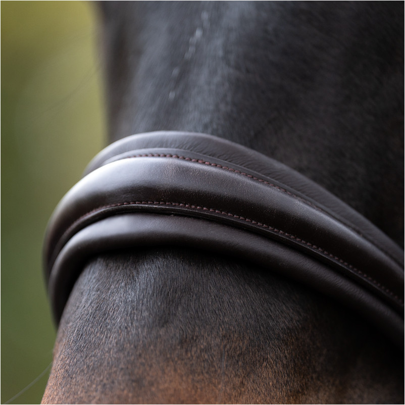 Trensenzaum schwedisch kombiniert ZORA braun