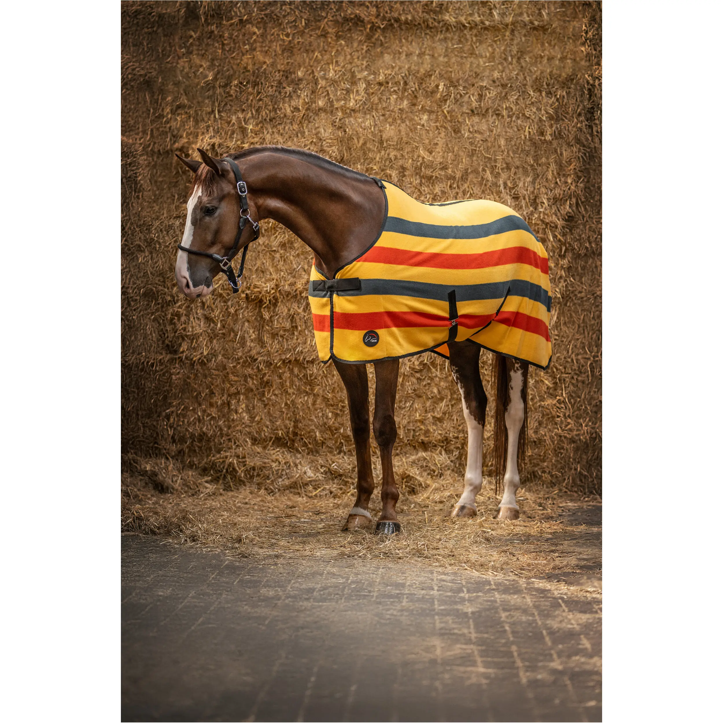 Abschwitzdecke PROFESSIONAL PREMIUM schwarz/rot/gold