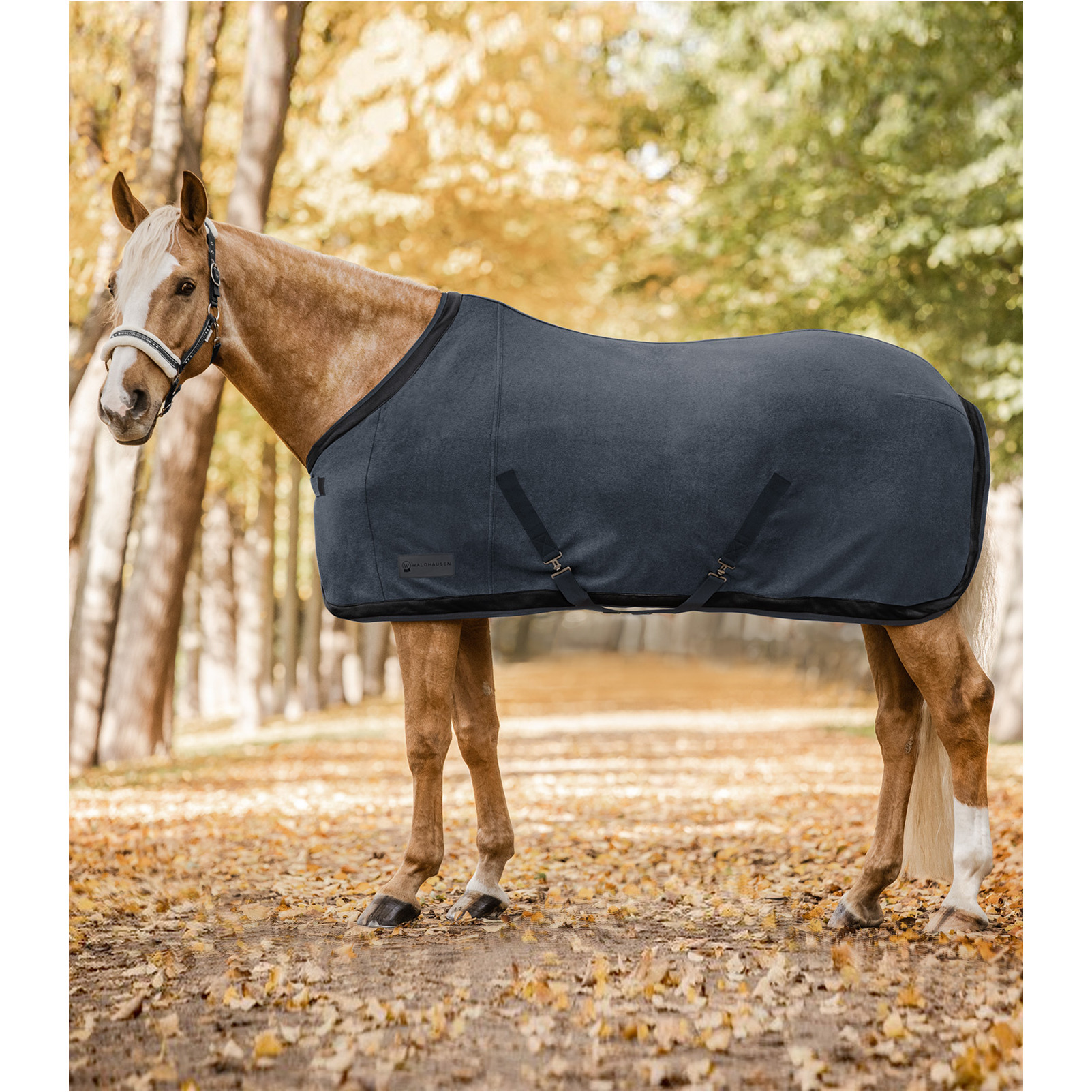 Fleecedecke ESPERIA TWO magnet/schwarz Fleecedecke ESPERIA TWO magnet/schwarz