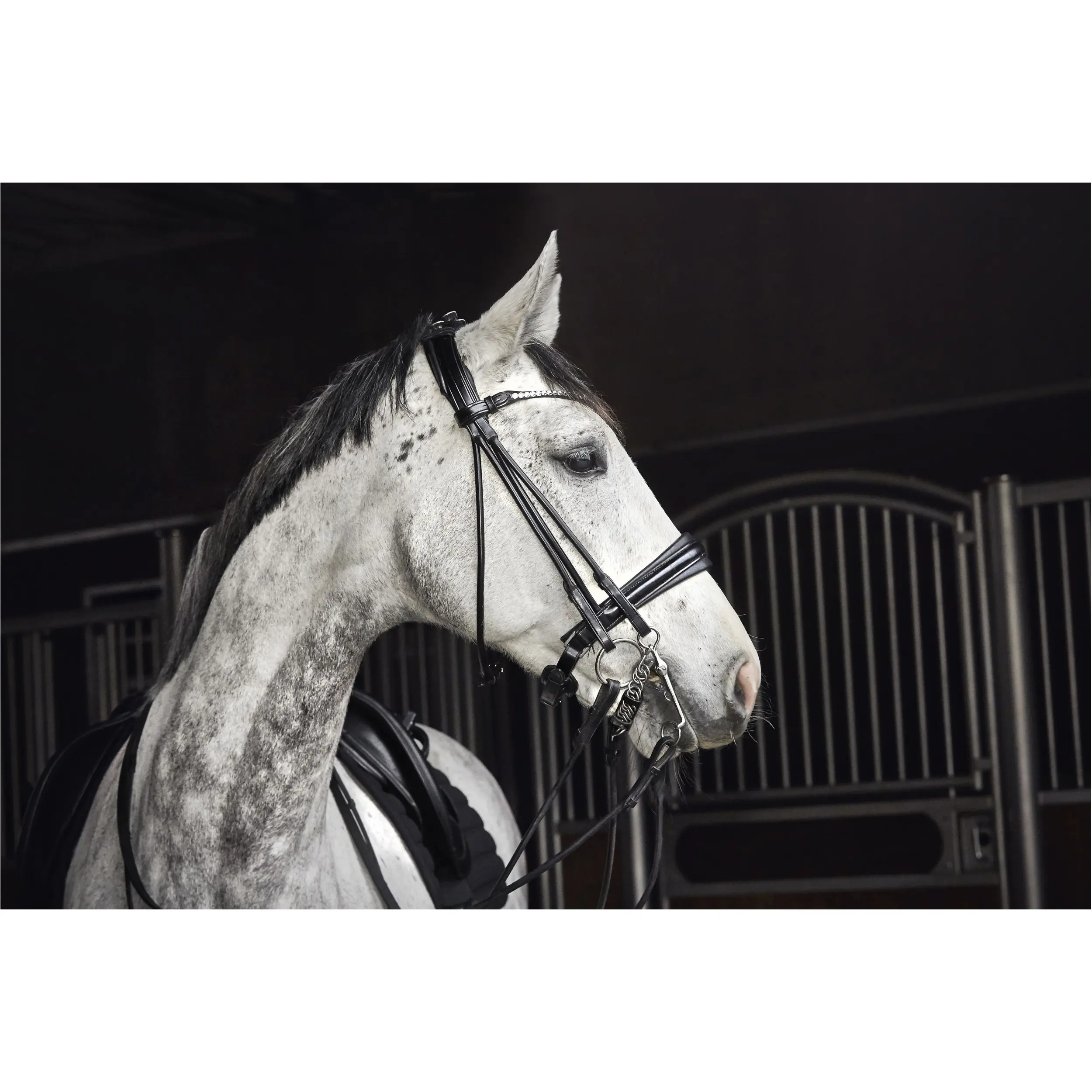 Kandarenzaum rund genäht SANTO Echtleder schwarz