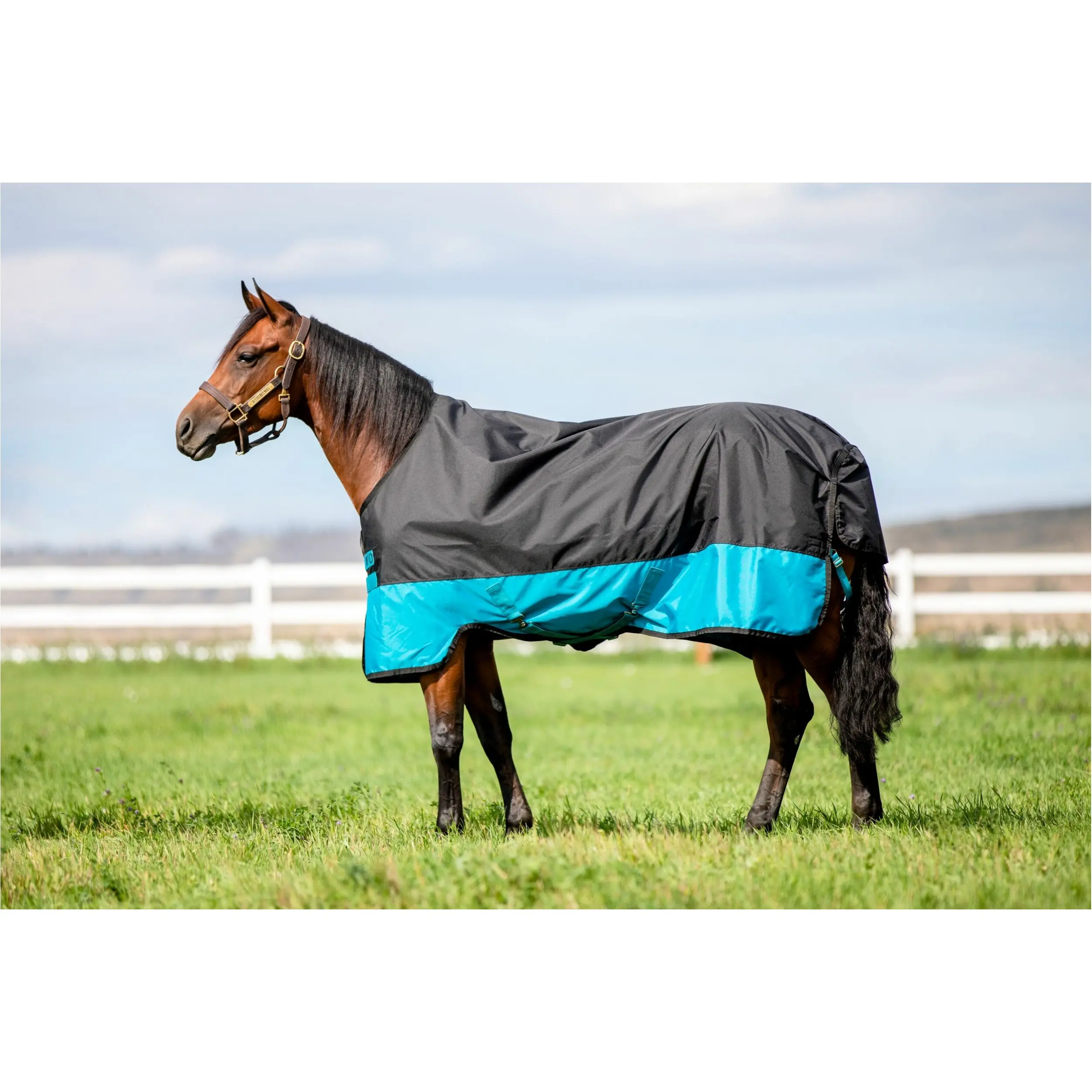 Outdoordecke 600D MIO schwarz/türkis